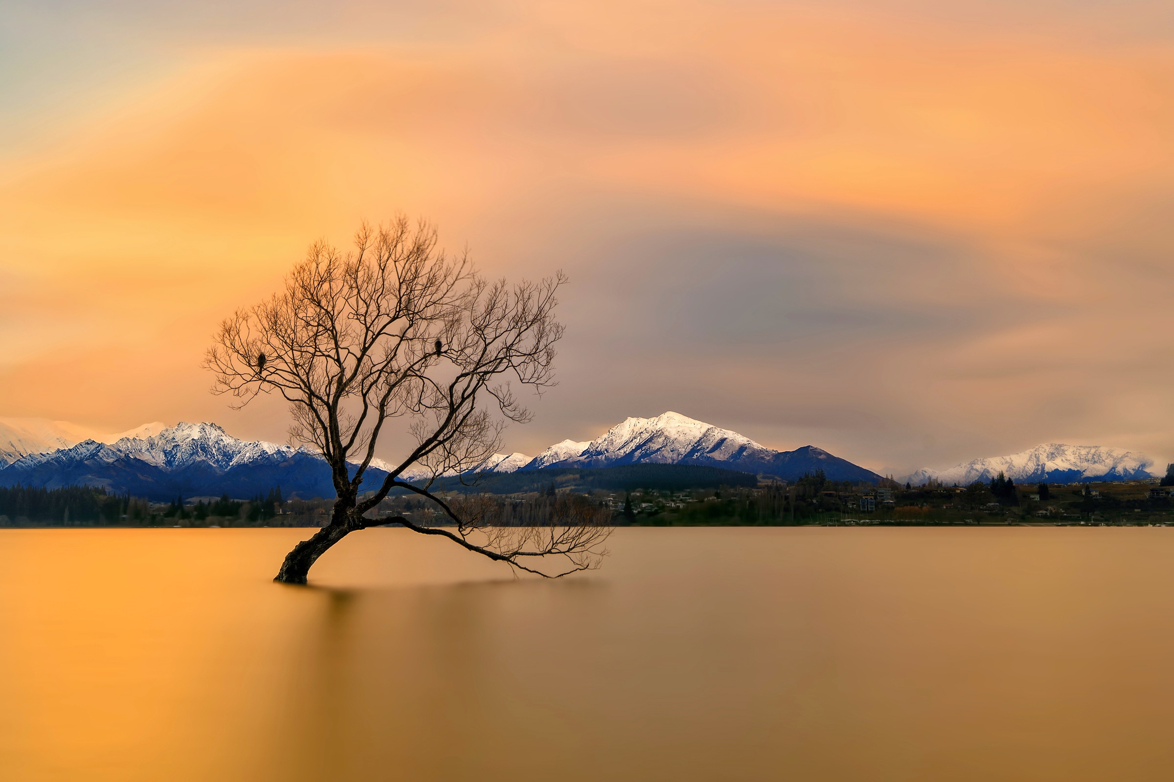 Image of Papermoon Fototapete »Photo-Art HUA ZHU, MORGENGLÜHEN DES LAKE WANAKA«, Vliestapete, hochwertiger Digitaldruck, inklusive Kleister bei Ackermann Versand Schweiz