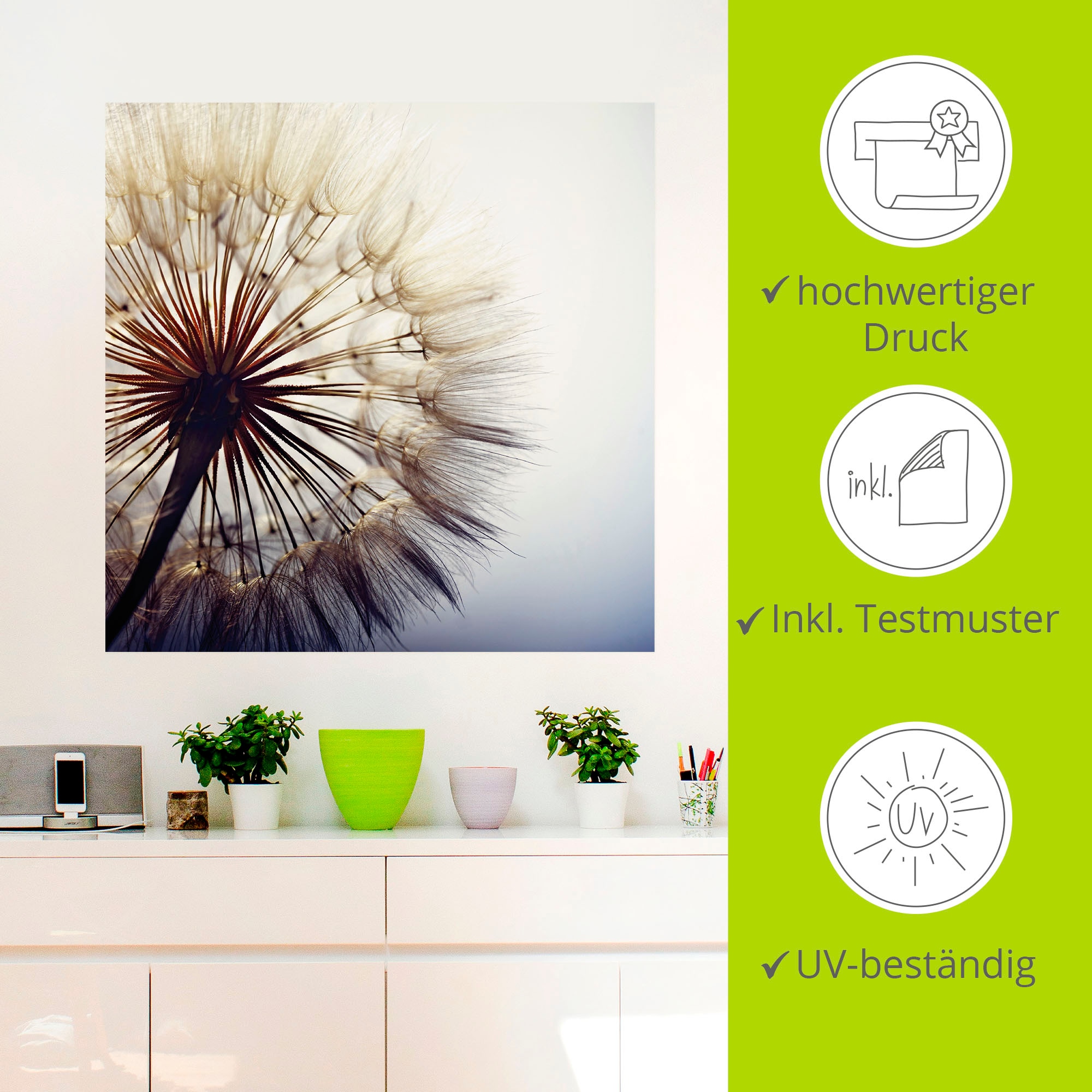 Artland Wandbild »Grosse Pusteblume«, Blumen, (1 St.), als Alubild, Outdoorbild, Leinwandbild, Poster, Wandaufkleber