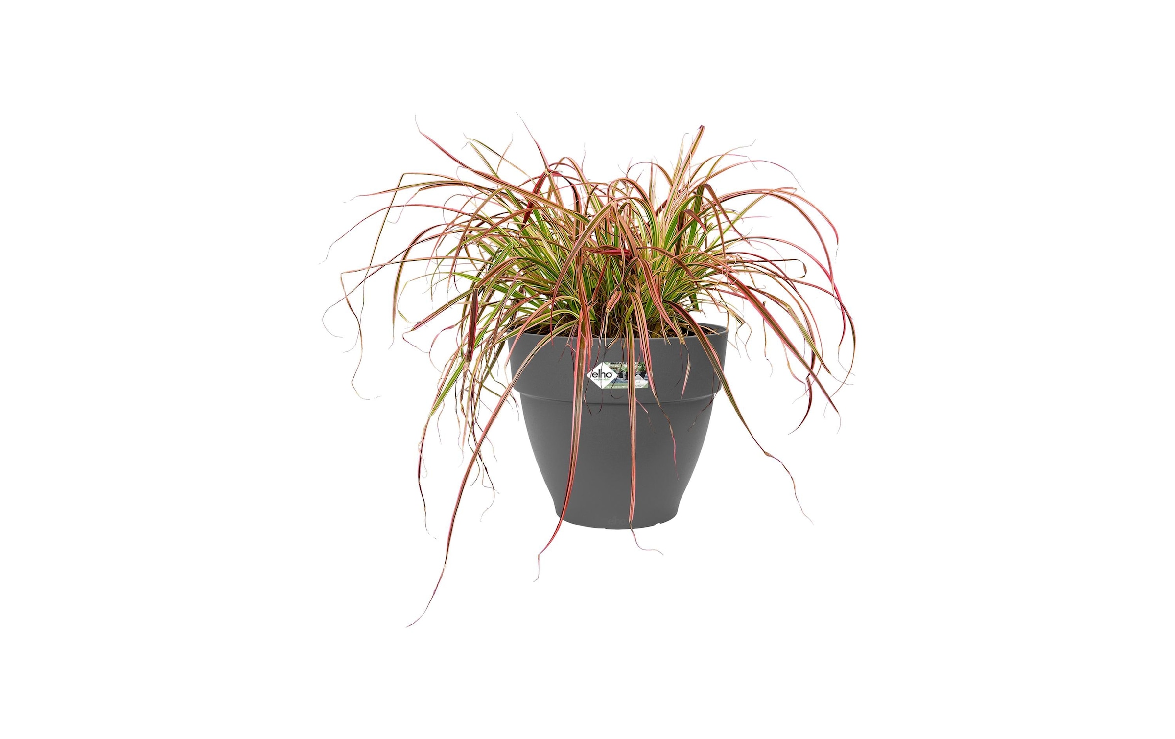 Elho Pot de fleurs »Vibia Campana Rund«