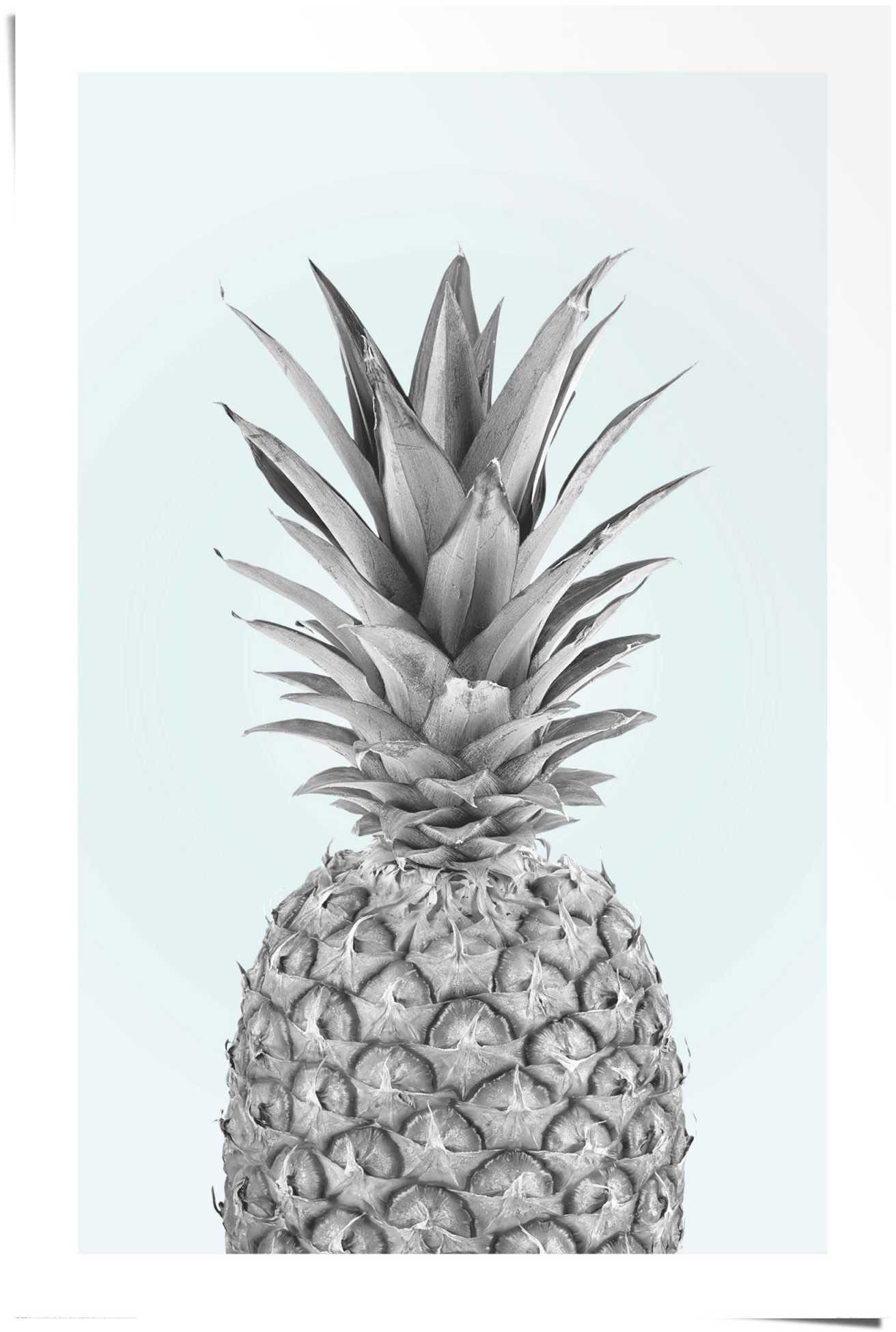 Image of Reinders! Poster »Ananas«, (1 St.) bei Ackermann Versand Schweiz