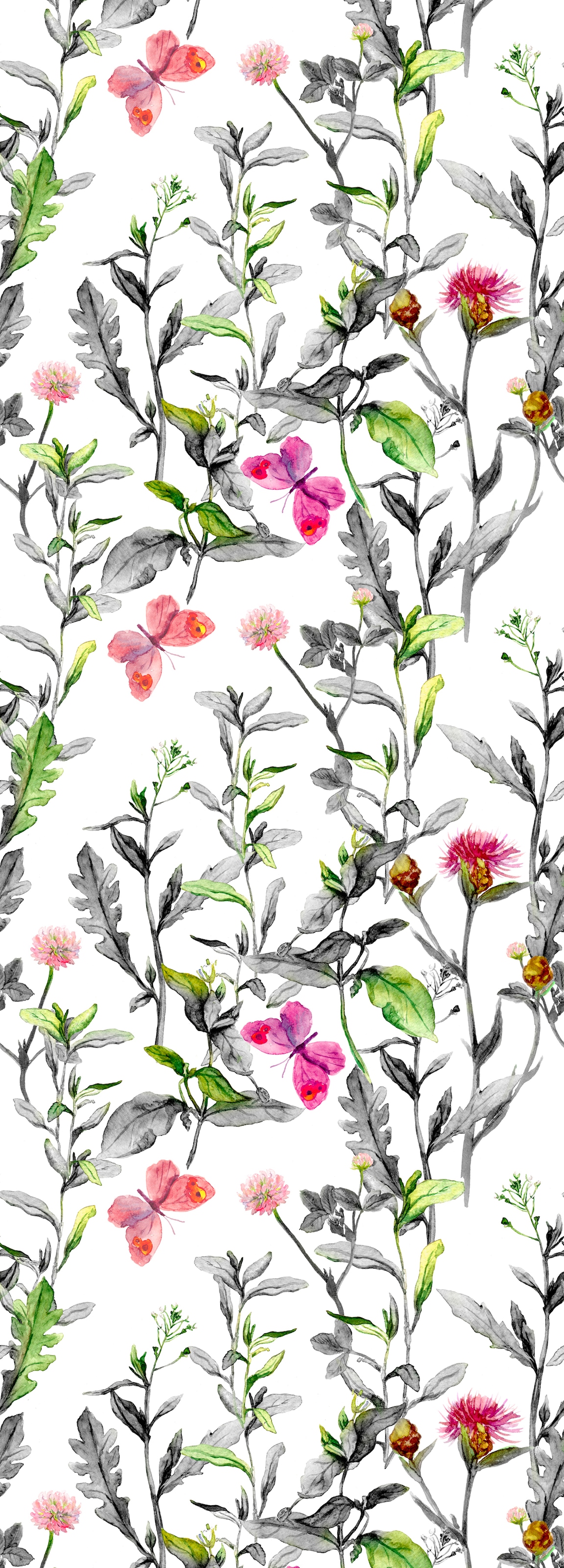 Image of queence Vinyltapete "Alina" Motiv bedruckt botanisch floral gemustert natürlich glatt 90x250cm, selbstklebend, kinderleichte Anbringung, Sticker