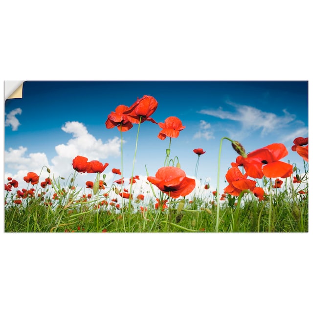 Artland Wandbild »Feld mit Mohnblumen unter Himmel«, Blumenwiese, (1 St.),  als Alubild, Leinwandbild, Wandaufkleber oder Poster in versch. Grössen à  bas prix
