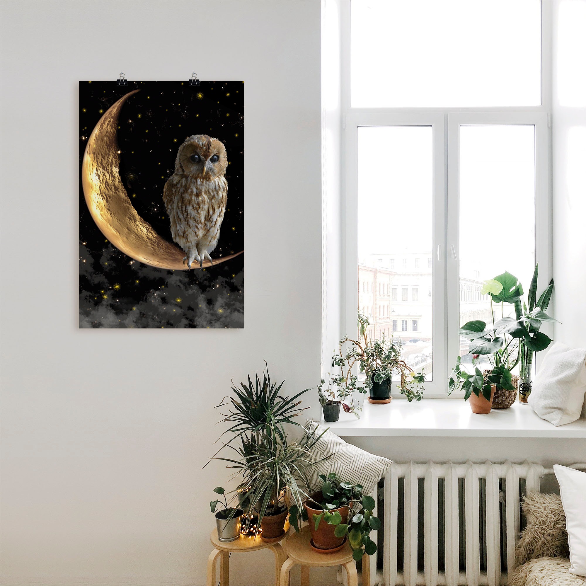 Artland Fresque murale »Nachteule« 1 cuis tlg. als Alubild, Leinwandbild, Poster in verschied. Grössen