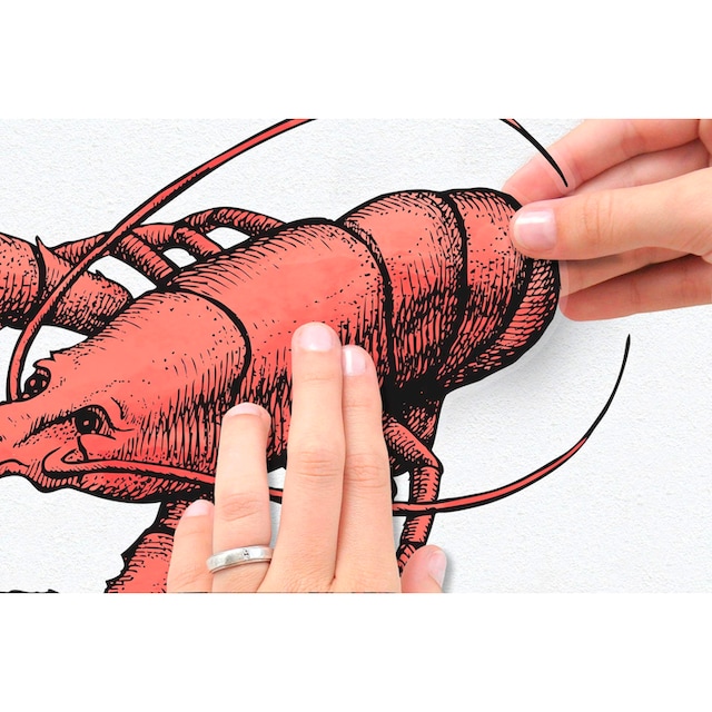 ♕ Komar Wandtattoo »Seafood«, 50x70 cm (Breite x Höhe), selbstklebendes  Wandtattoo versandkostenfrei auf