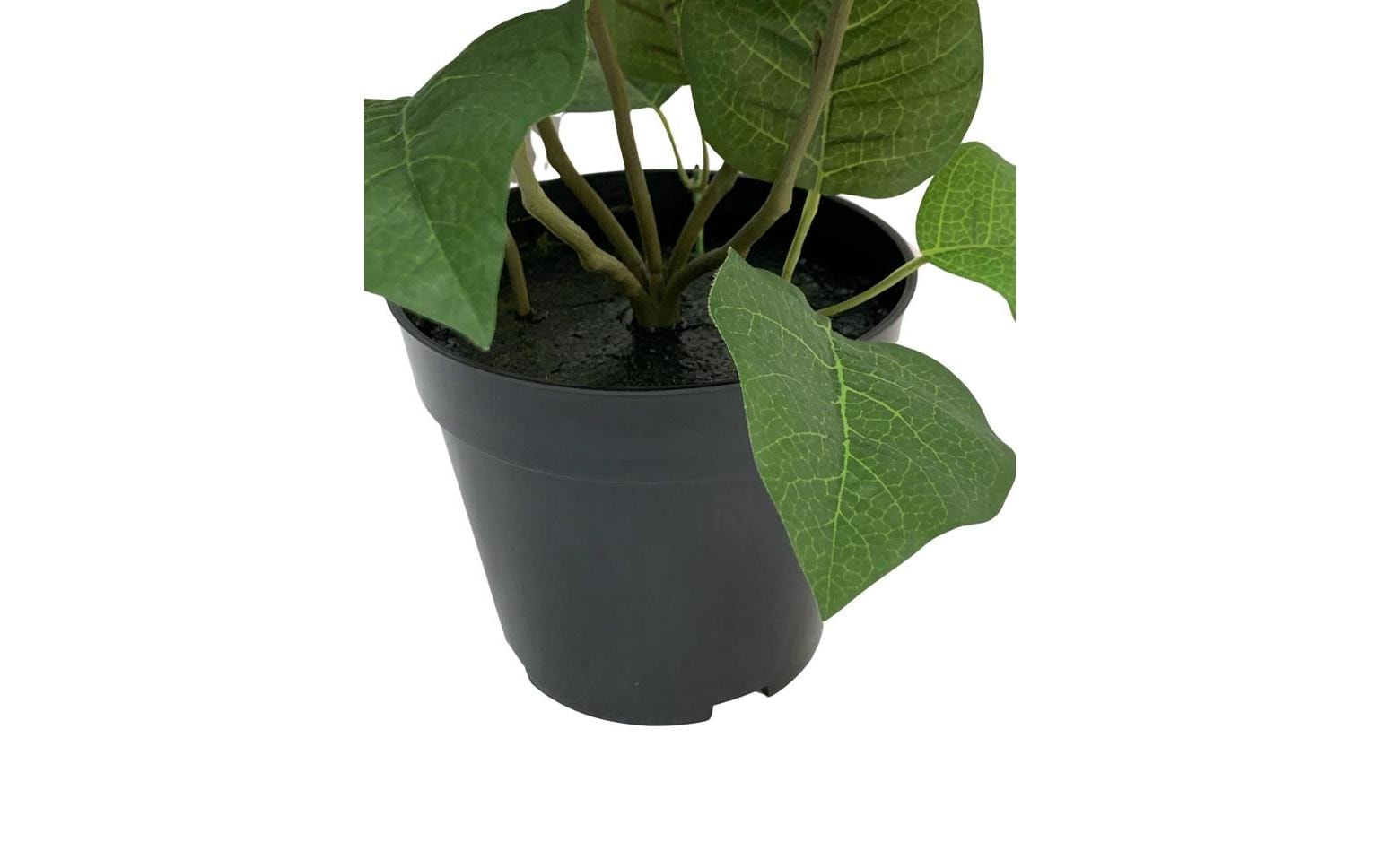 Botanic-Haus Kunstblume »im Topf, Rot«