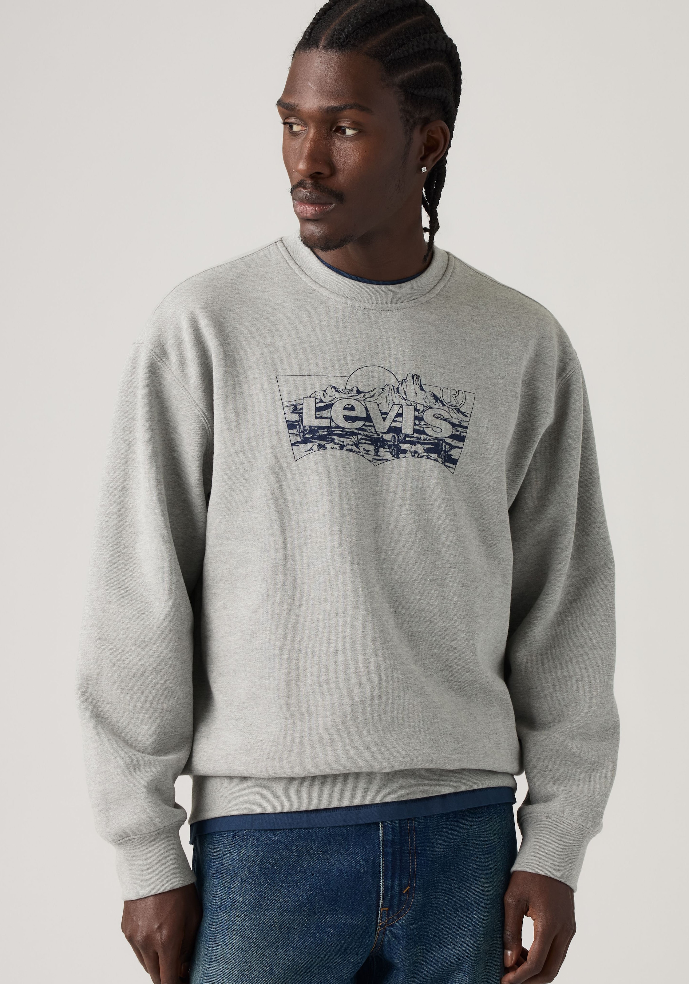 Levi's® Sweat-shirt »RELAXD GRAPHIC CREW NEUTRALS«
