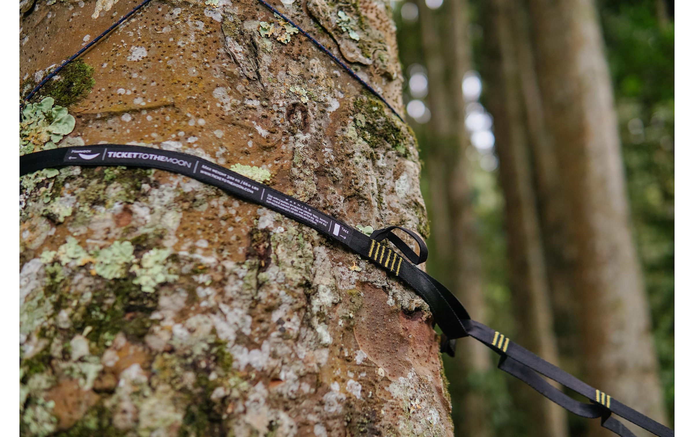   Wandhalter »ticket to the moon Moonstraps«