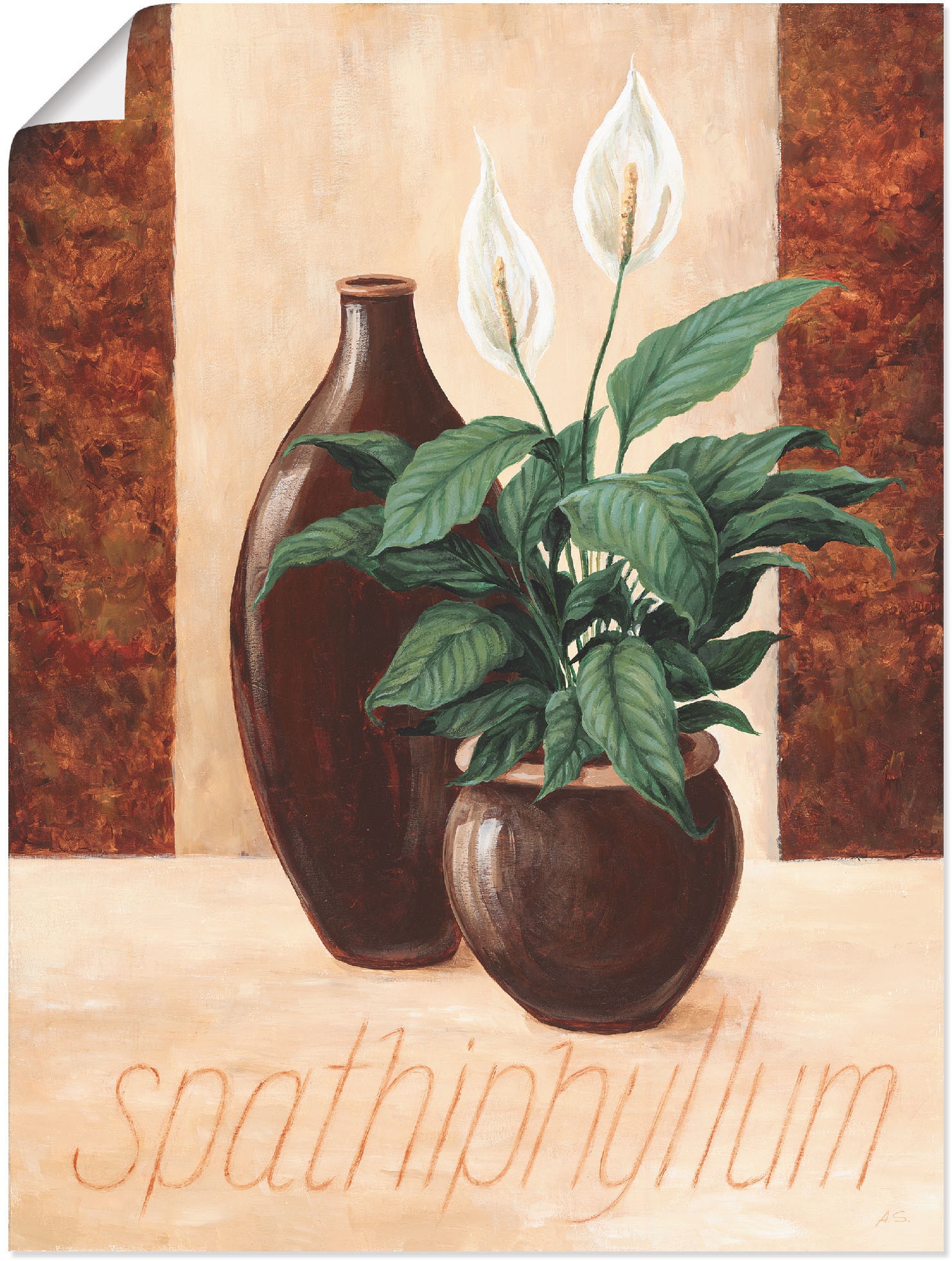 Image of Artland Poster "Spathiphyllum - Einblatt" Pflanzenbilder 1 Stk. tlg. ohne Rahmen