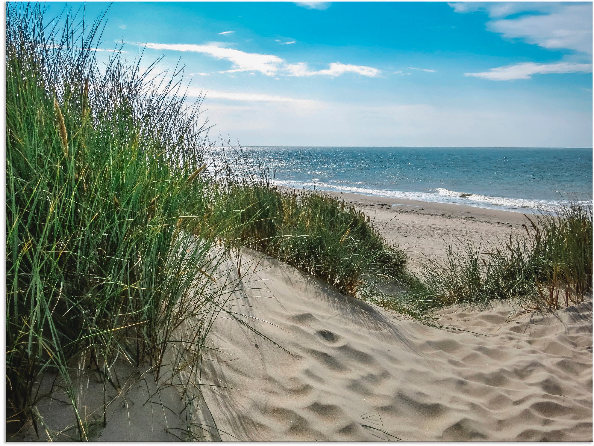 Nordsee«, an Leinwandbild, St.), in Strand, Alubild, (1 kaufen Grössen Wandbild als »Dünenlandschaft günstig im Wandaufkleber der Artland Poster versch. Sommer oder