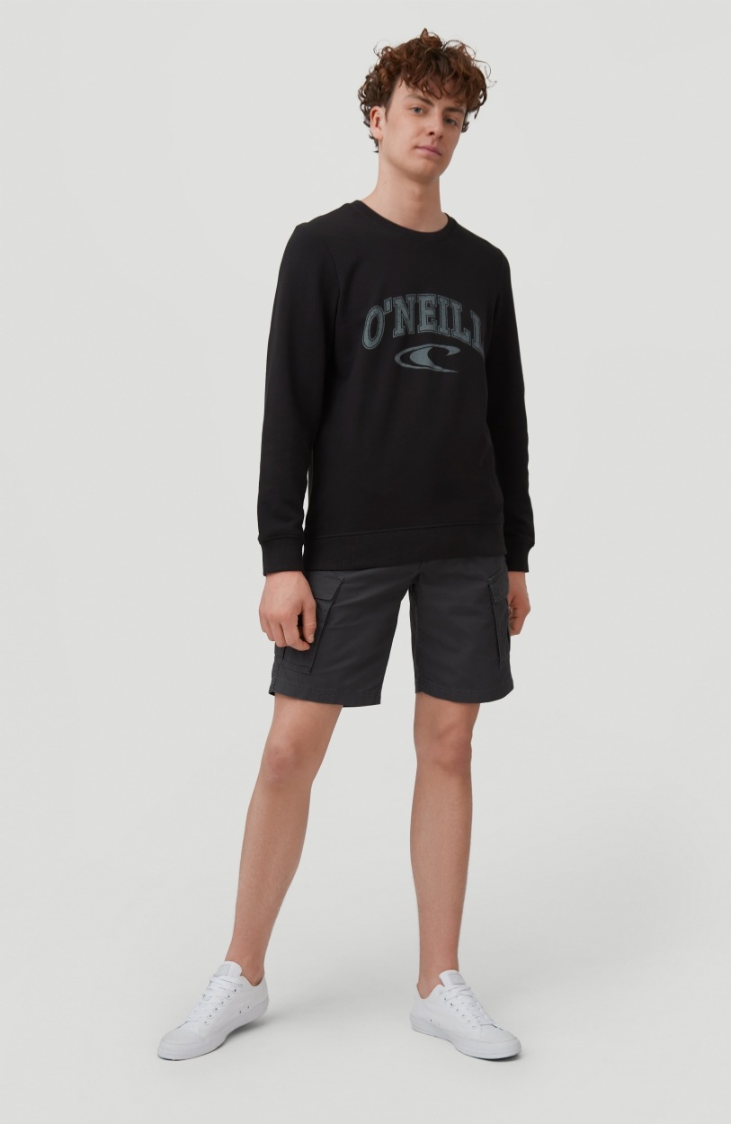 Image of O'Neill Shorts »Beach Break Cargo Shorts - Outlet« bei Ackermann Versand Schweiz