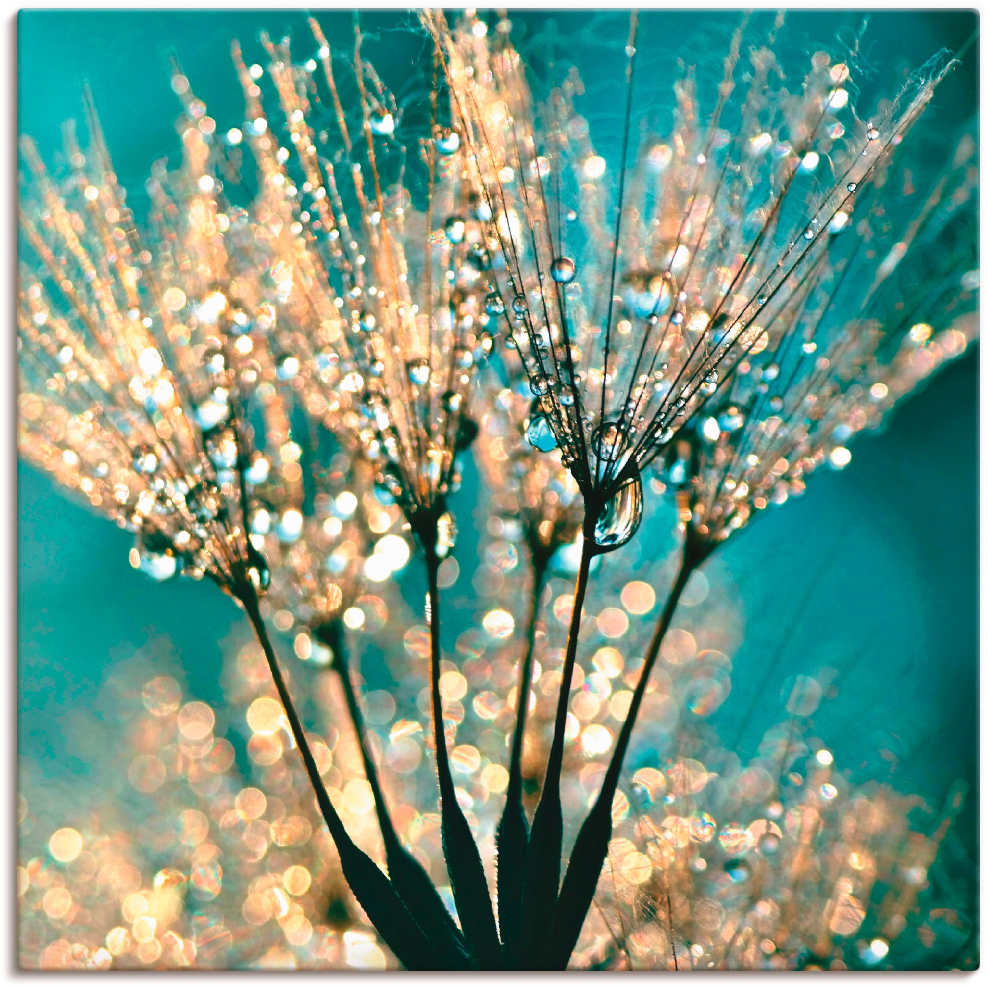 Image of Artland Wandbild "Pusteblume Schirmchen abstrakt" Blumen 1 Stk. tlg. als Leinwandbild, Poster in verschied. Grössen