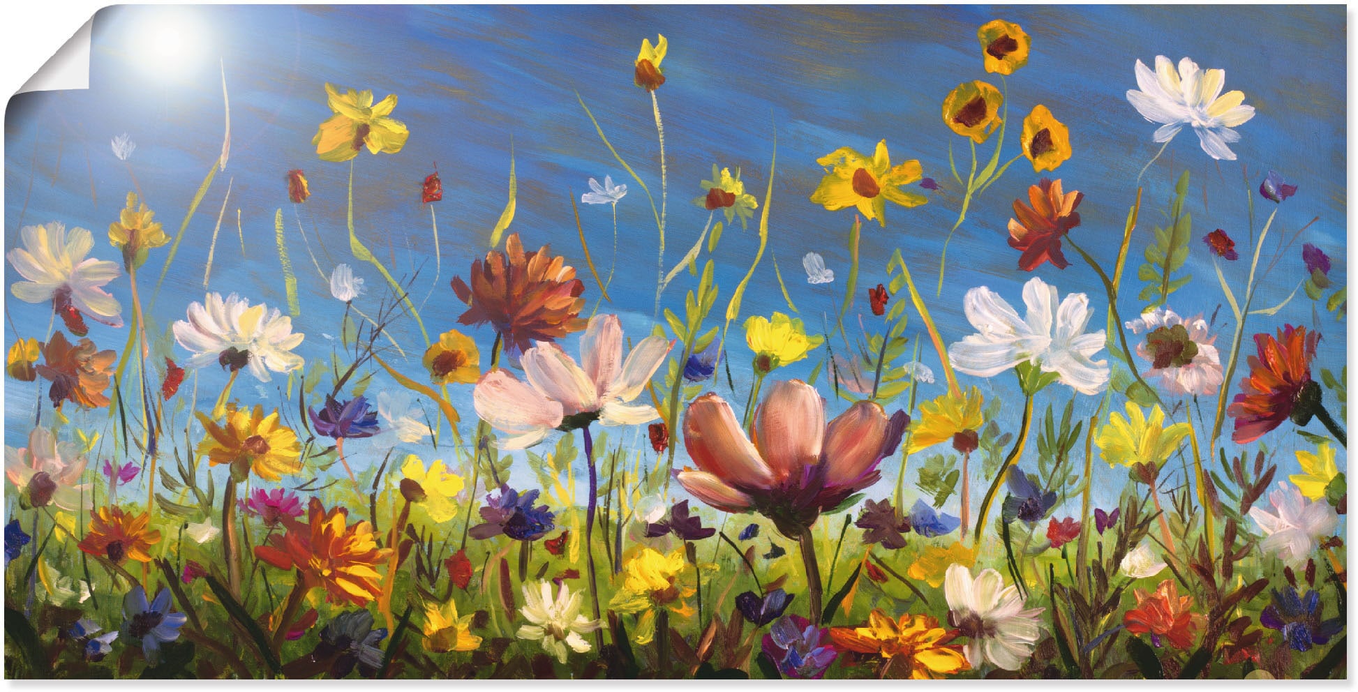 Artland Wandbild in Blumenwiese, Alubild, versch. kaufen blauer »Wildblumenwiese St.), Himmel«, als Wandaufkleber oder (1 Poster Leinwandbild, Grössen bequem