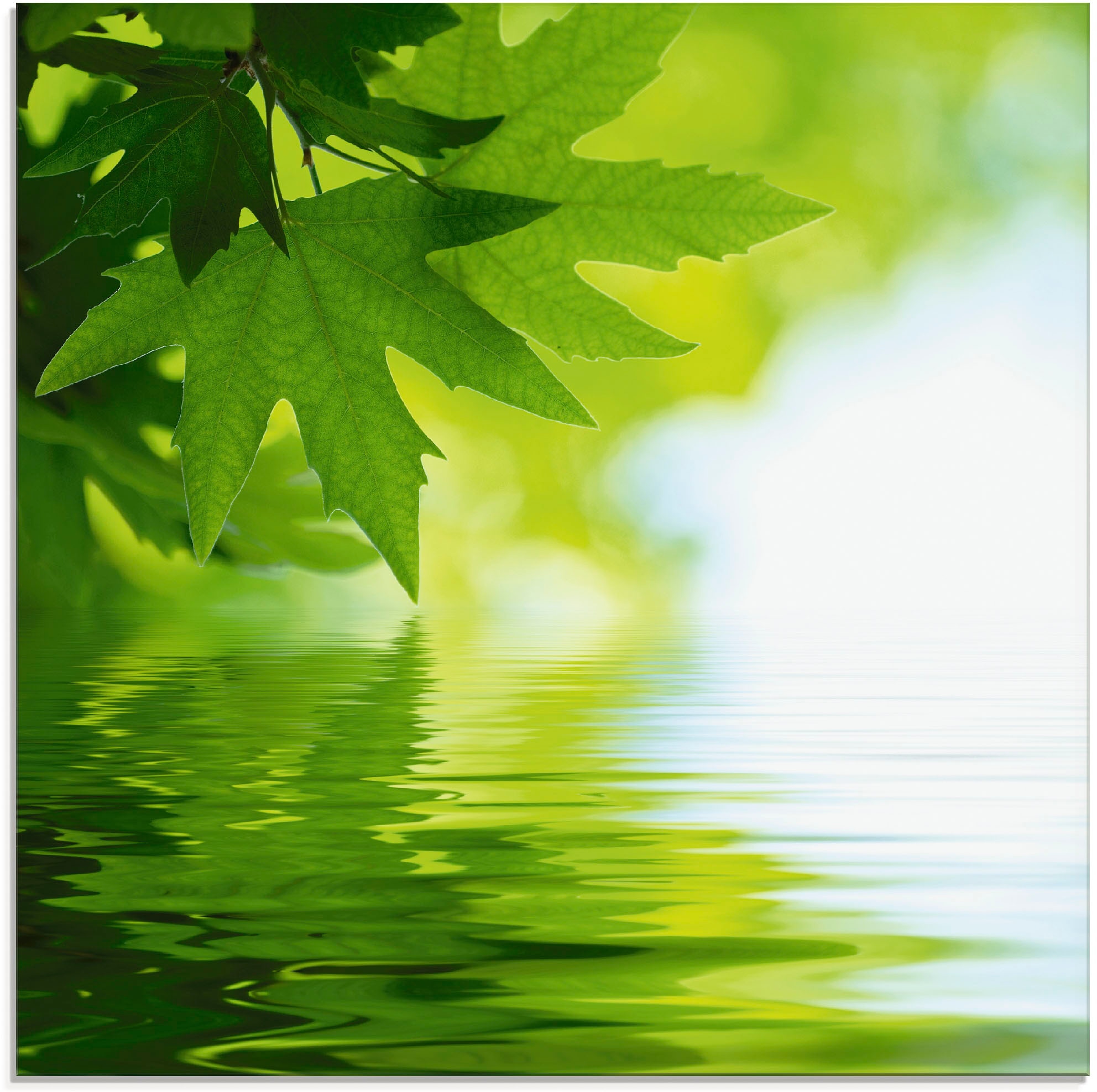 Image of Artland Glasbild "Grüne Blätter reflektieren im Wasser" Blätter 1 Stk. tlg. in verschiedenen Grössen