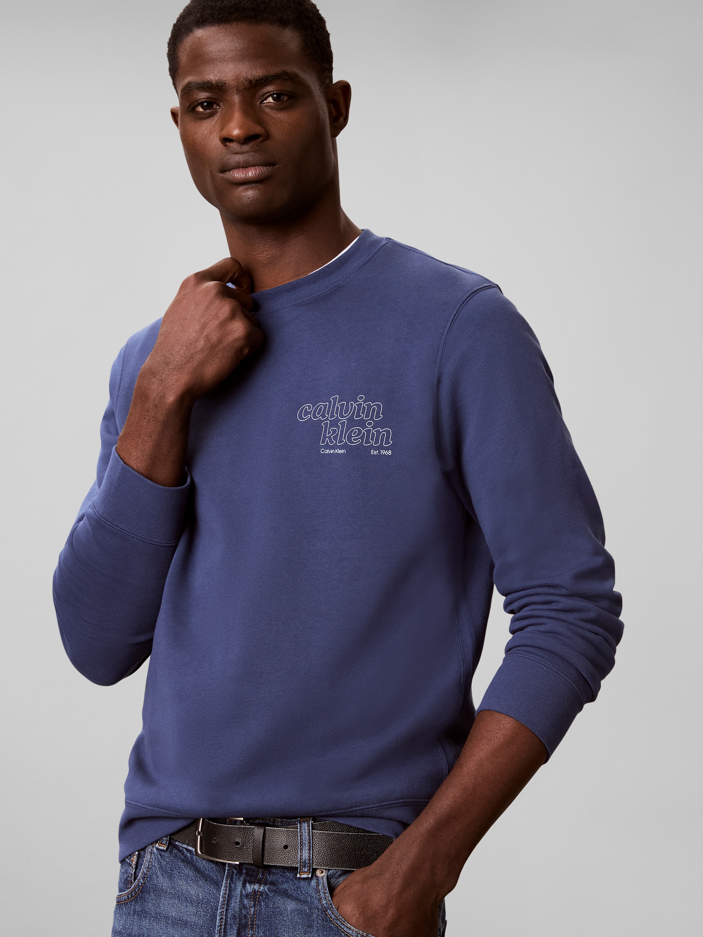 Image of Calvin Klein Sweatshirt, Rundhalsausschnitt, Brustdruck, reine Baumwolle
