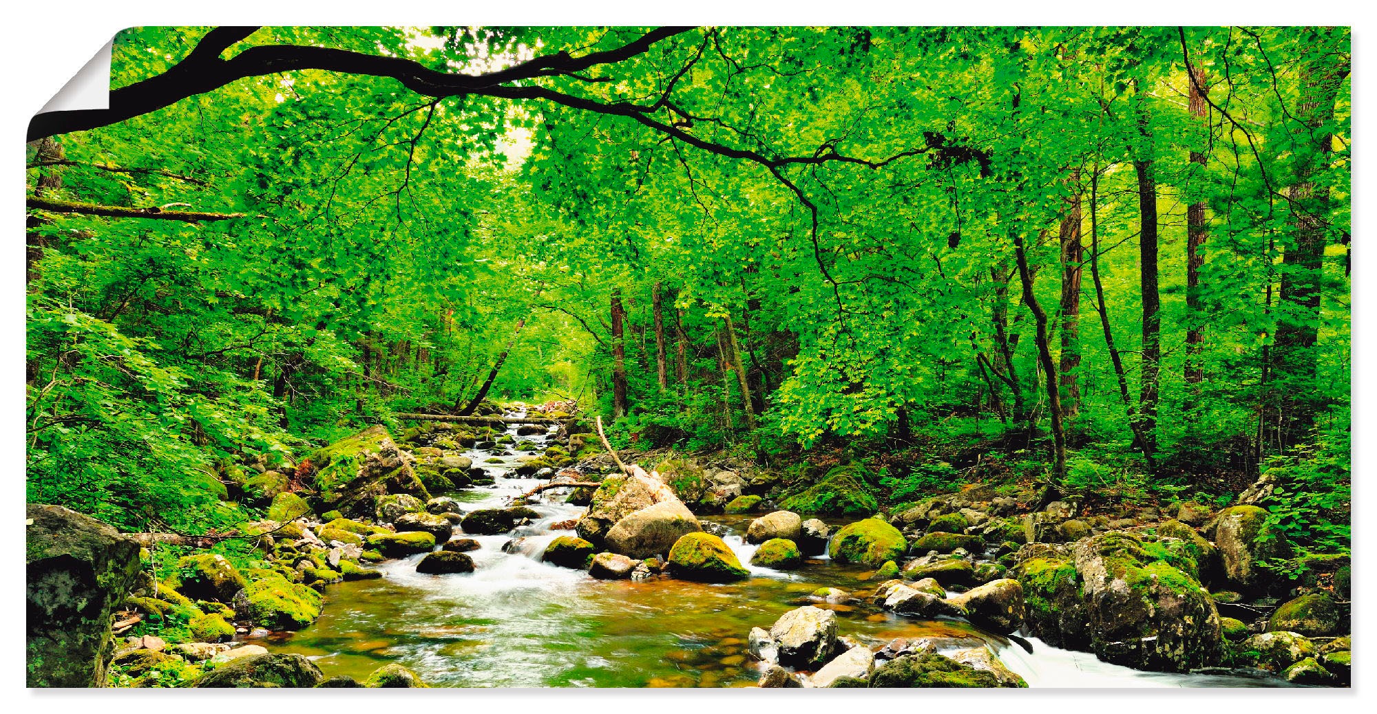 Image of Artland Wandbild »Herbstwald Fluss Smolny«, Wald, (1 St.), in vielen Grössen & Produktarten - Alubild / Outdoorbild für den Aussenbereich, Leinwandbild, Poster, Wandaufkleber / Wandtattoo auch für Badezimmer geeignet bei Ackermann Versand Schweiz