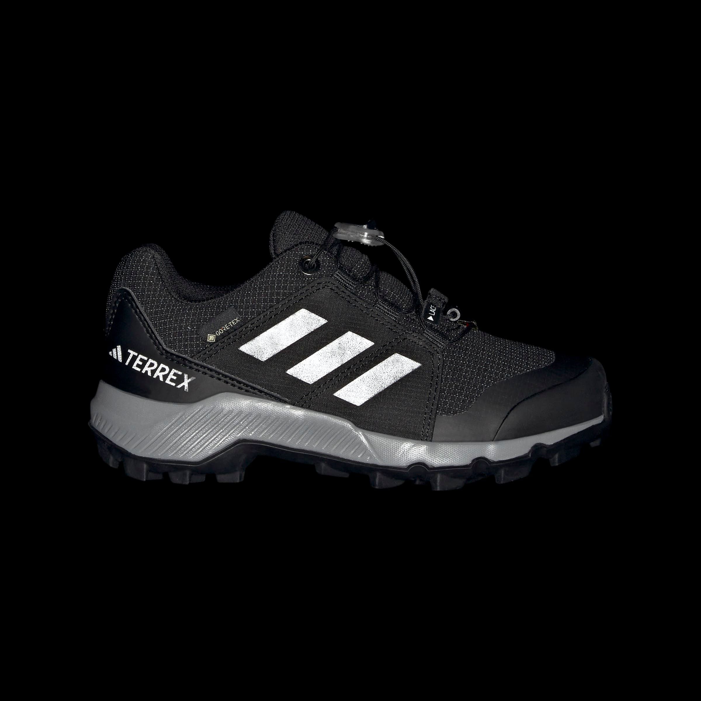 adidas TERREX Wanderschuh »TERREX GORE-TEX«, wasserdicht