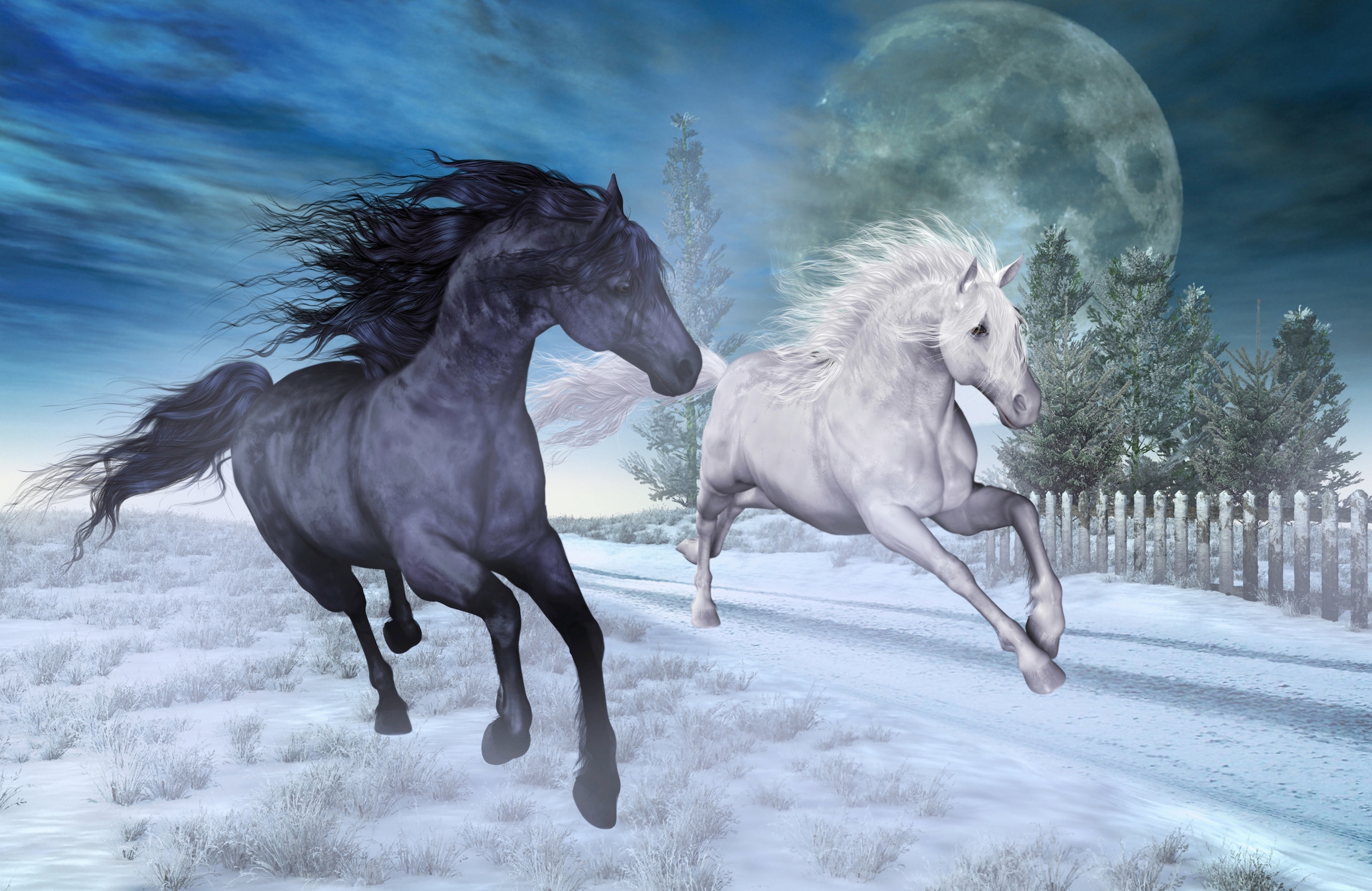 Image of Papermoon Fototapete "PFERDE-NATUR MOND TIERE PONY BÄUME PFERD WANDBILD DEKO"