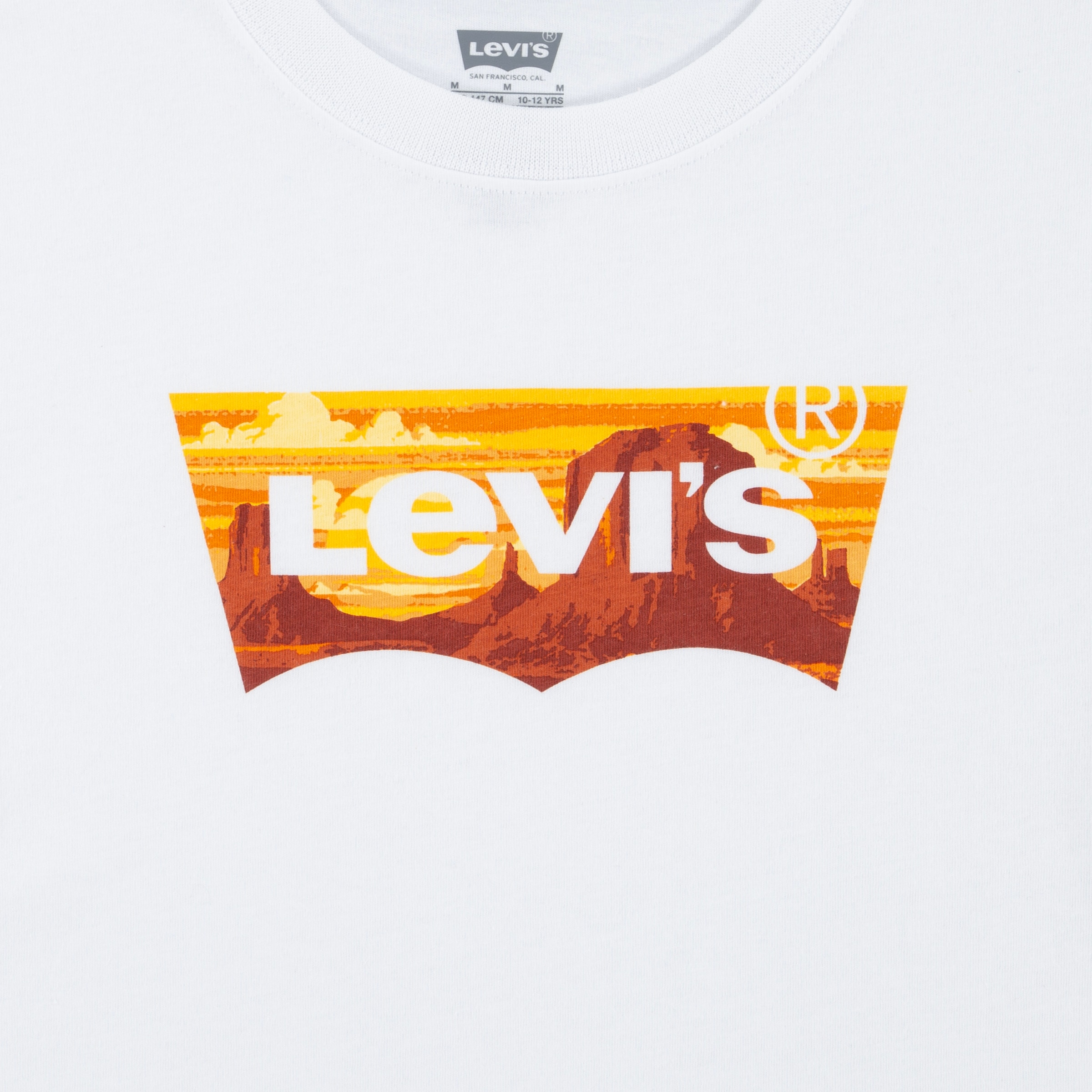 Levi's® Kids T-Shirt »LVB GOLDEN GLOW BATWING TEE«, mit grossem Logo