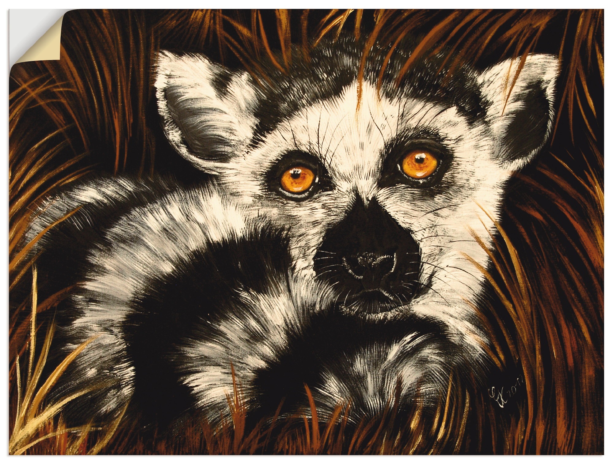 Image of Artland Wandbild »Lemur II«, Wildtiere, (1 St.), in vielen Grössen & Produktarten - Alubild / Outdoorbild für den Aussenbereich, Leinwandbild, Poster, Wandaufkleber / Wandtattoo auch für Badezimmer geeignet bei Ackermann Versand Schweiz