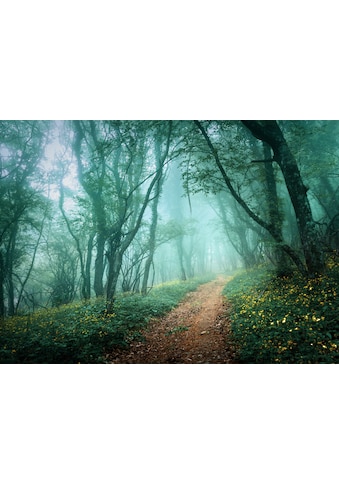 Fototapete »Misty Forest in Fog«