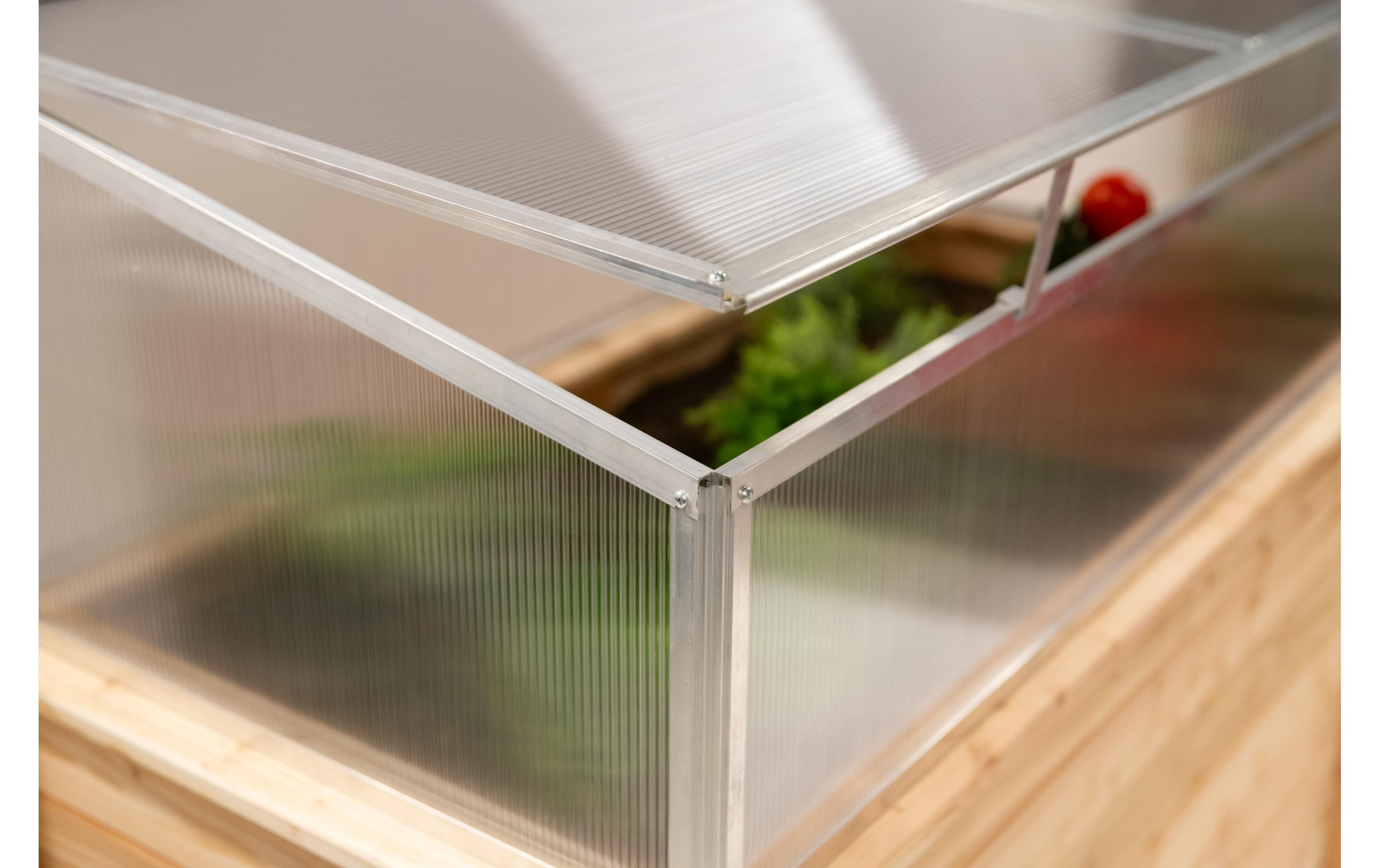 WESTMANN Frühbeet »Genus 100« BxTxH: 95x62x41 cm