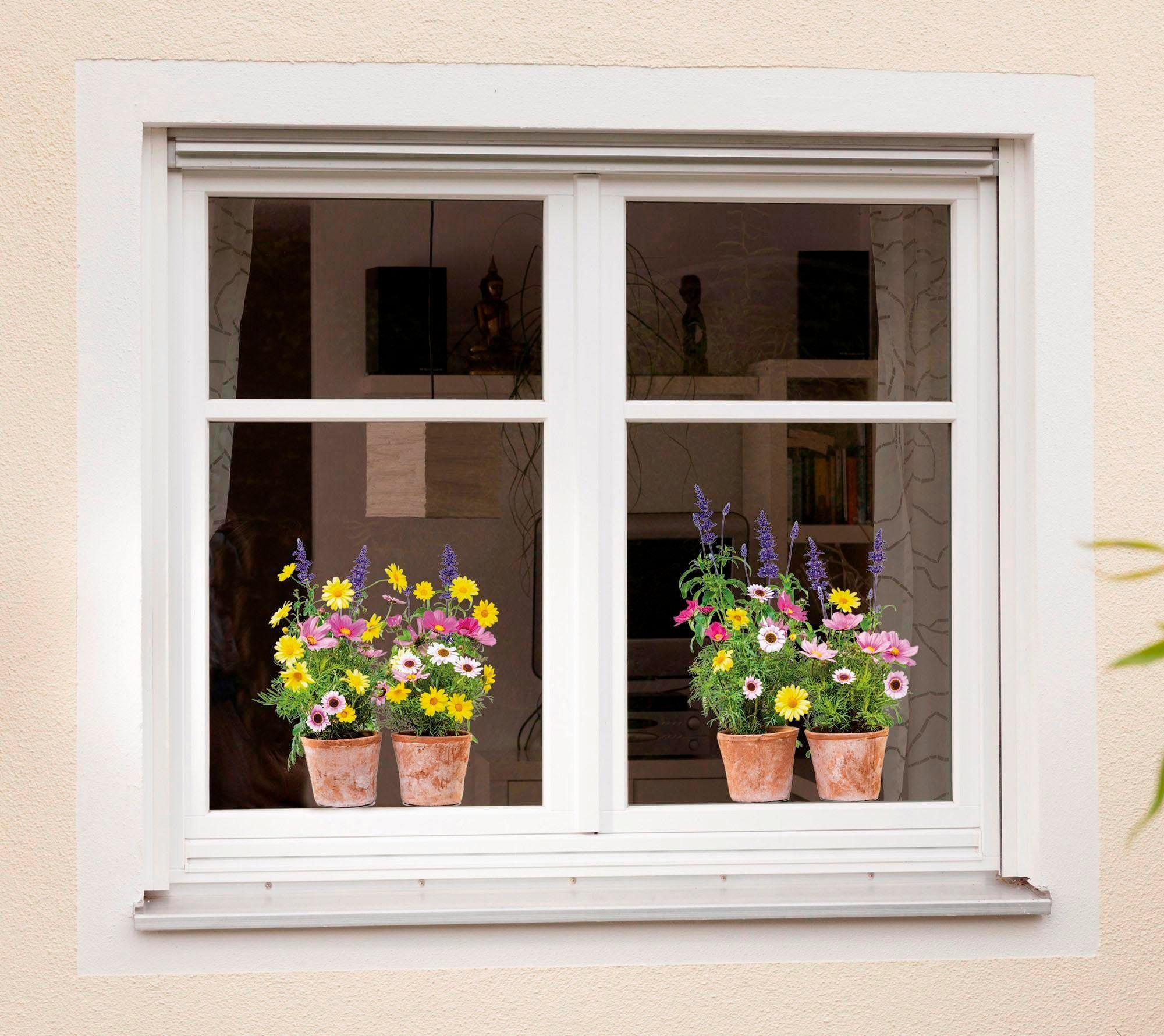 Image of Komar Fensterbild "Springtime" 31x31 cm (Breite x Höhe), selbsthaftend
