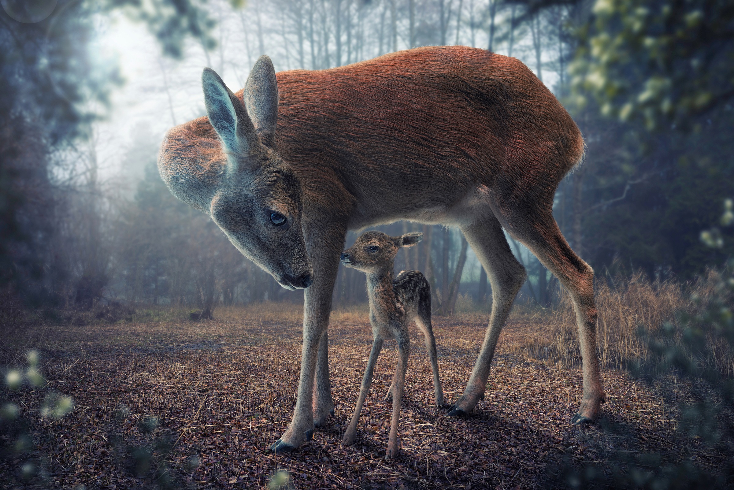 Image of Papermoon Fototapete »Photo-Art JOHN WILHELM, MUTTER UND KITZ«, Vliestapete, hochwertiger Digitaldruck, inklusive Kleister bei Ackermann Versand Schweiz