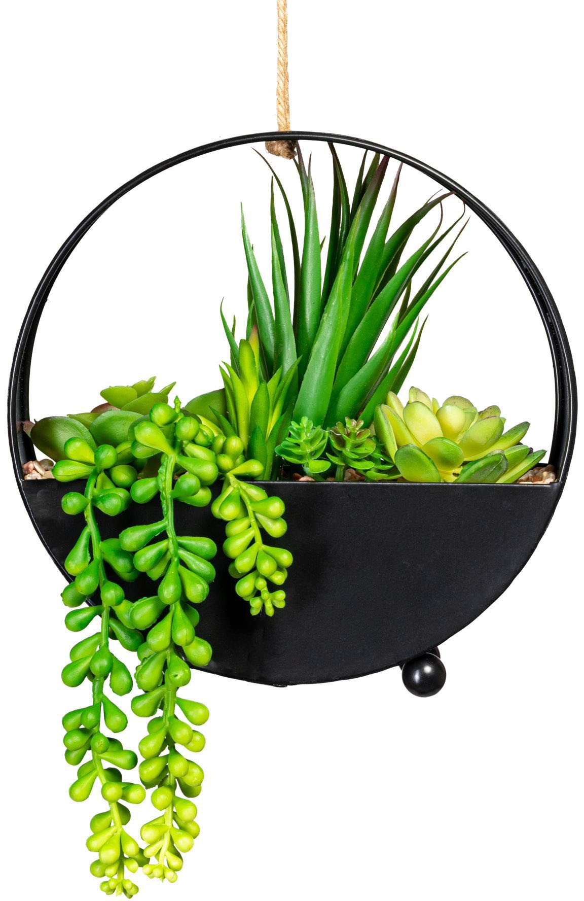 Image of Creativ green Kunstpflanze »Sukkulenten-Arrangement«, (1 St.) bei Ackermann Versand Schweiz