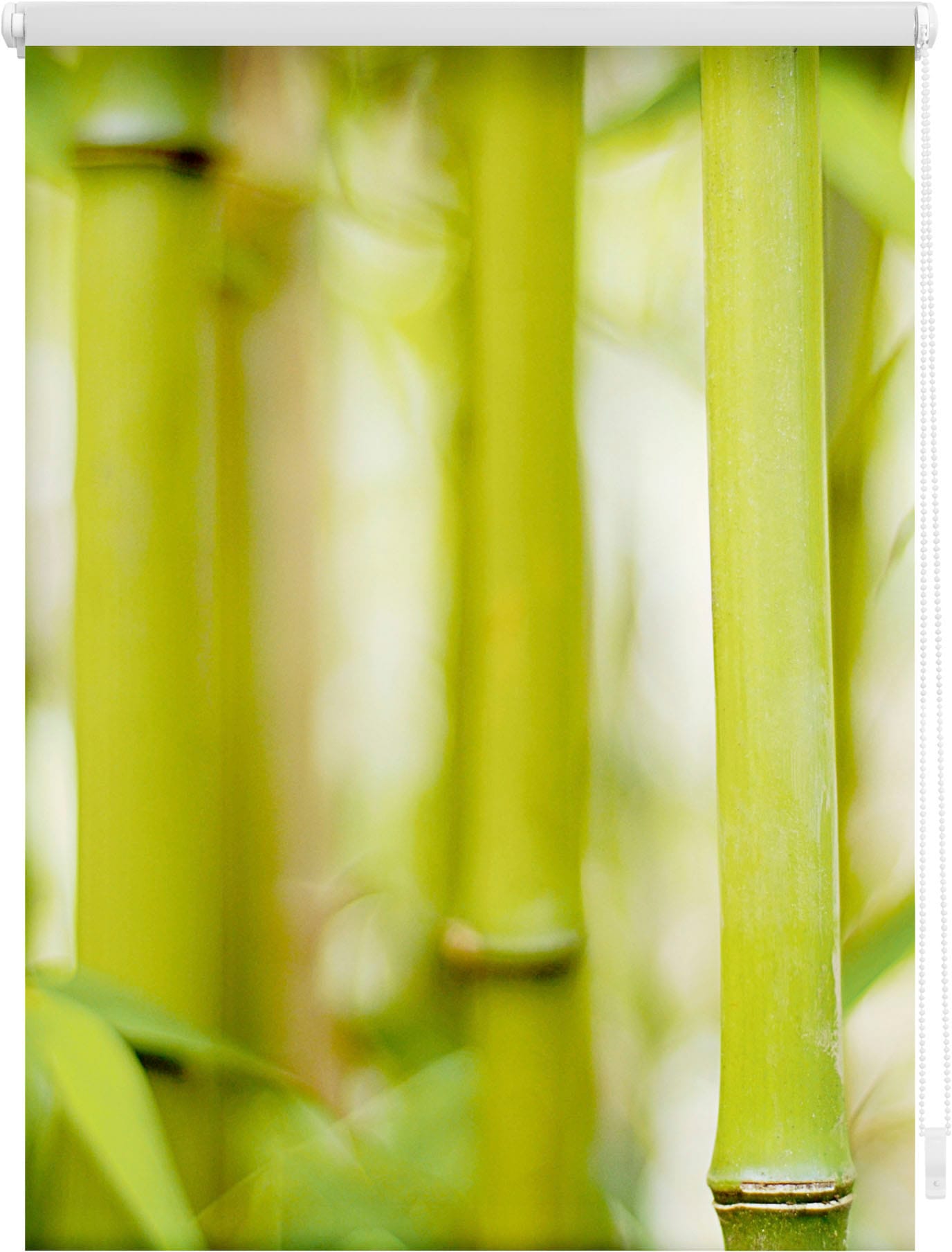 LICHTBLICK ORIGINAL Seitenzugrollo »Rollo verdunkelnd, Bambus freihängend - kaufen günstig Verdunkelung-energiesparend, Grün«, ohne Klemmfix, Bohren, Verdunkelung