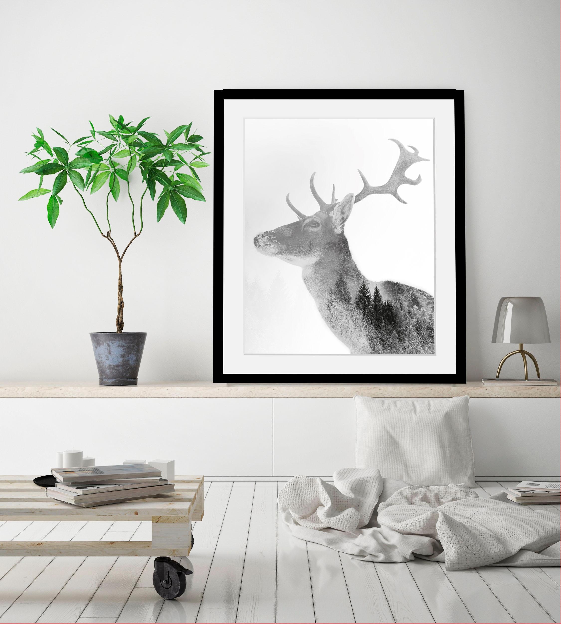 queence Bild »Hirsch«, Hirsch-Tiere-Wildtiere-Hirschbilder-Wald-Waldbilder-Schwarz-Weiss, HD Premium Poster-Druck inkl. Holzrahmen