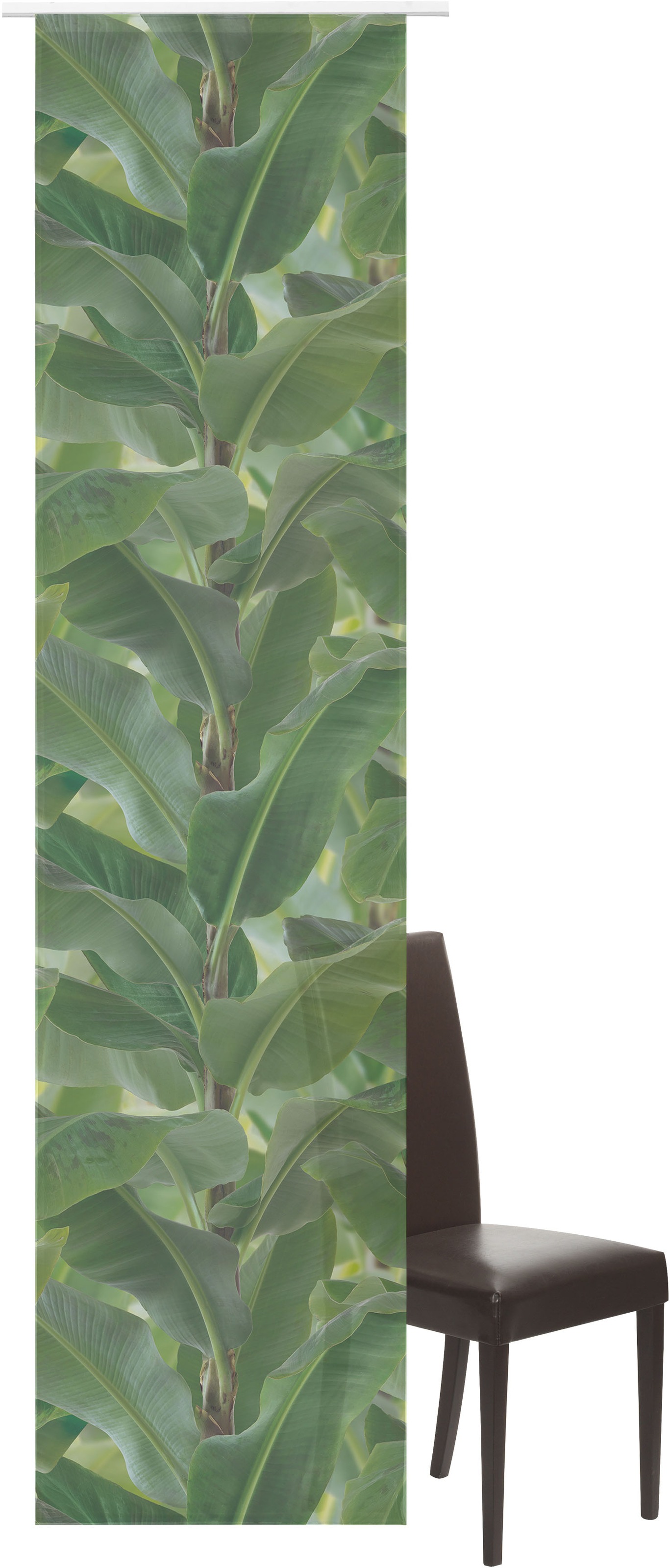 Image of ELBERSDRUCKE Schiebegardine »Banana-Tree«, (1 St.), Schiebevorhang mit Klettband Banana-Tree 03 grün 245x60 cm halbtransparent Digitaldruck bei Ackermann Versand Schweiz