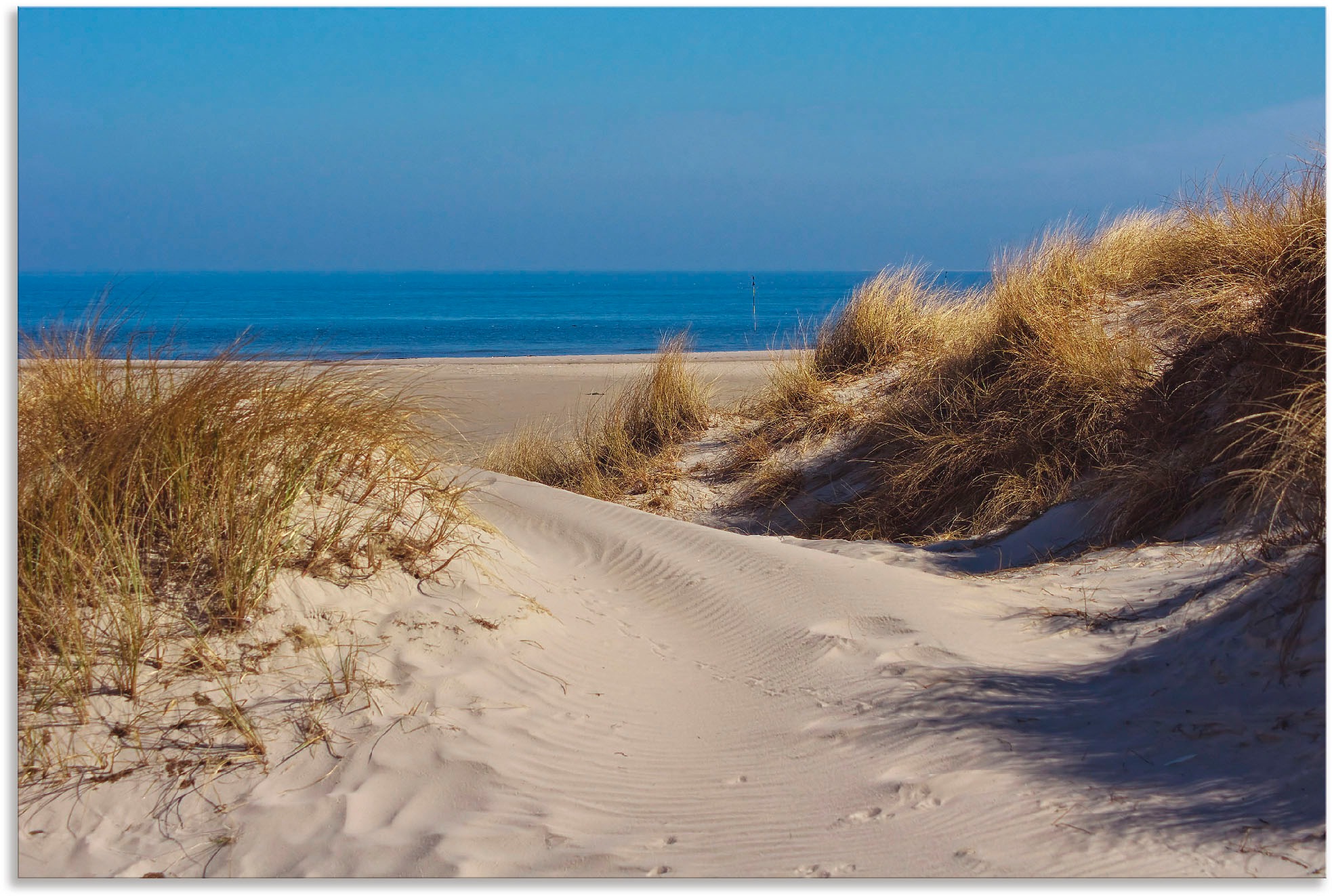 Image of Artland Wandbild »Am Meer - Insel Amrum«, Strand, (1 St.), in vielen Grössen & Produktarten - Alubild / Outdoorbild für den Aussenbereich, Leinwandbild, Poster, Wandaufkleber / Wandtattoo auch für Badezimmer geeignet bei Ackermann Versand Schweiz