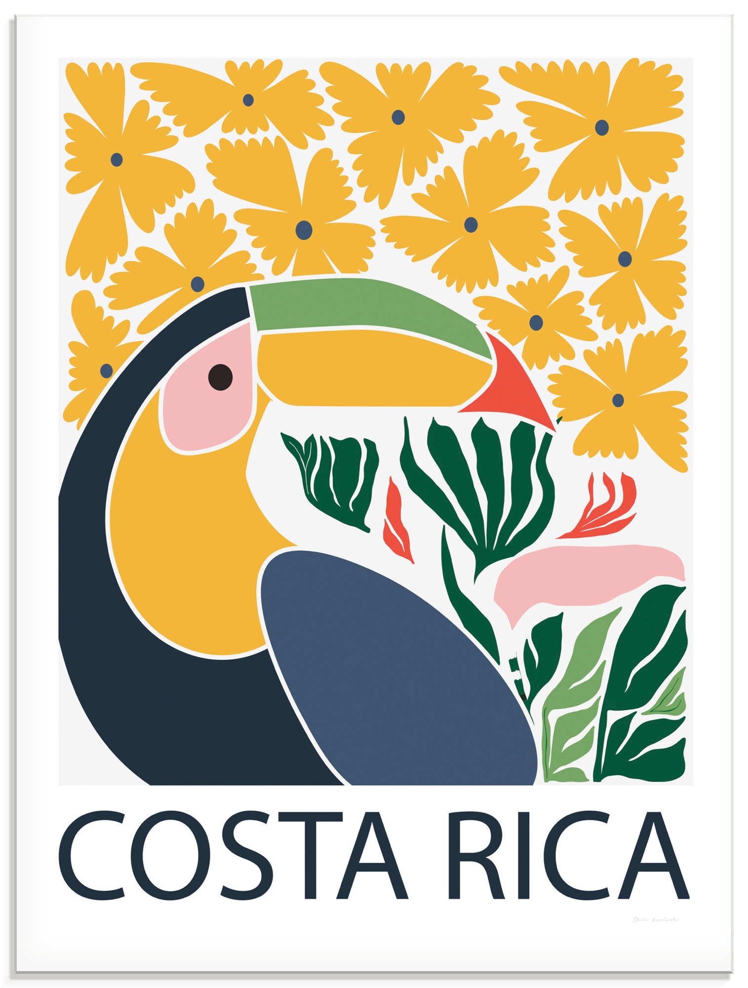Image of Artland Glasbild "Costa Rica" Vogelbilder 1 Stk. tlg. in verschiedenen Grössen