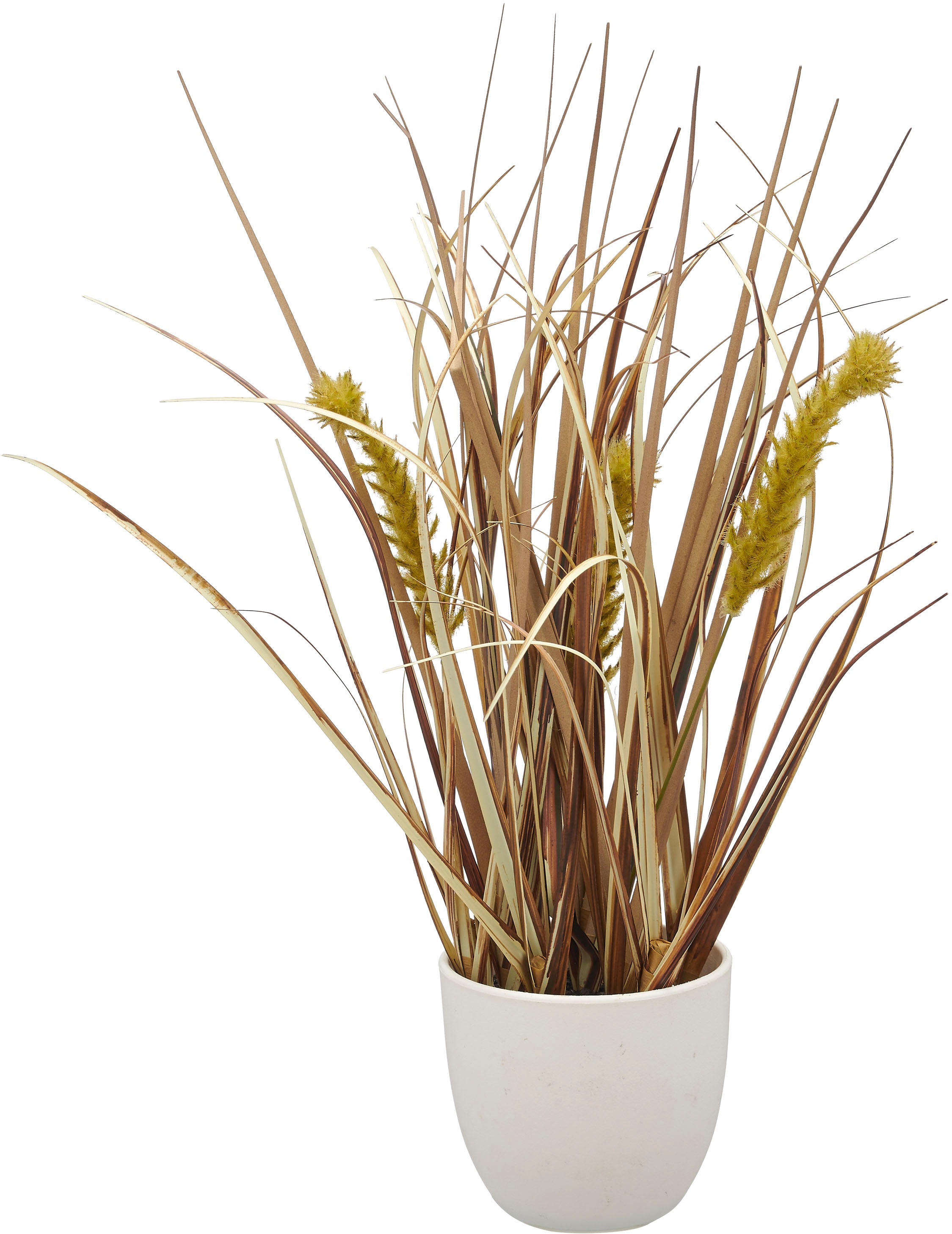 Creativ green Herbe artificielle »Grasbusch Düne« als Set aus drei Ausführungen