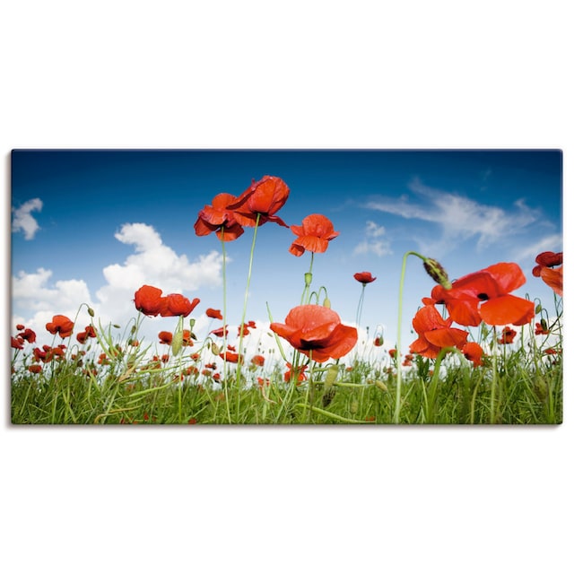 Artland Wandbild »Feld mit Mohnblumen unter Himmel«, Blumenwiese, (1 St.),  als Alubild, Leinwandbild, Wandaufkleber oder Poster in versch. Grössen  jetzt kaufen