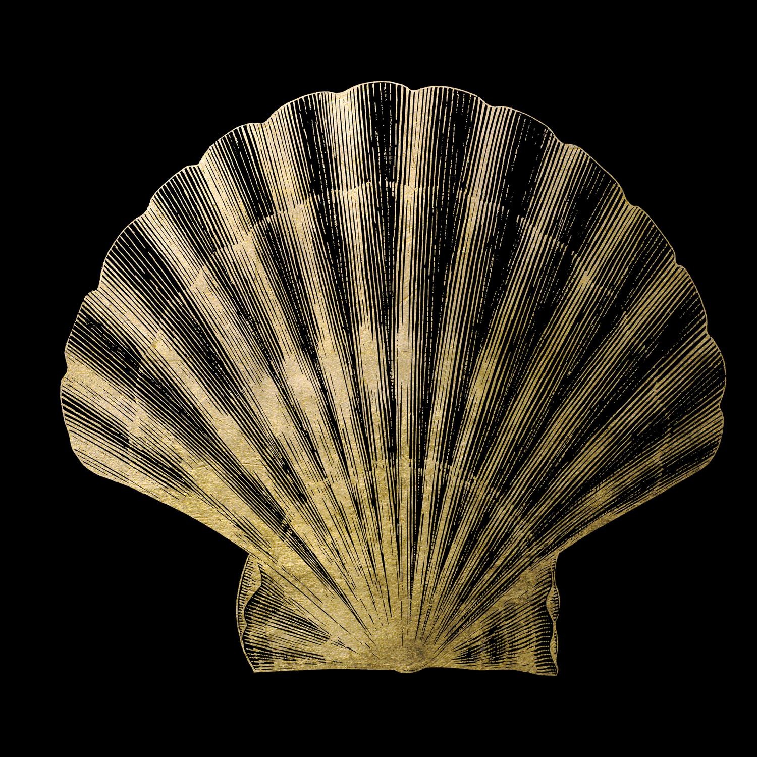 Image of Leonique Acrylglasbild »Muschel« bei Ackermann Versand Schweiz