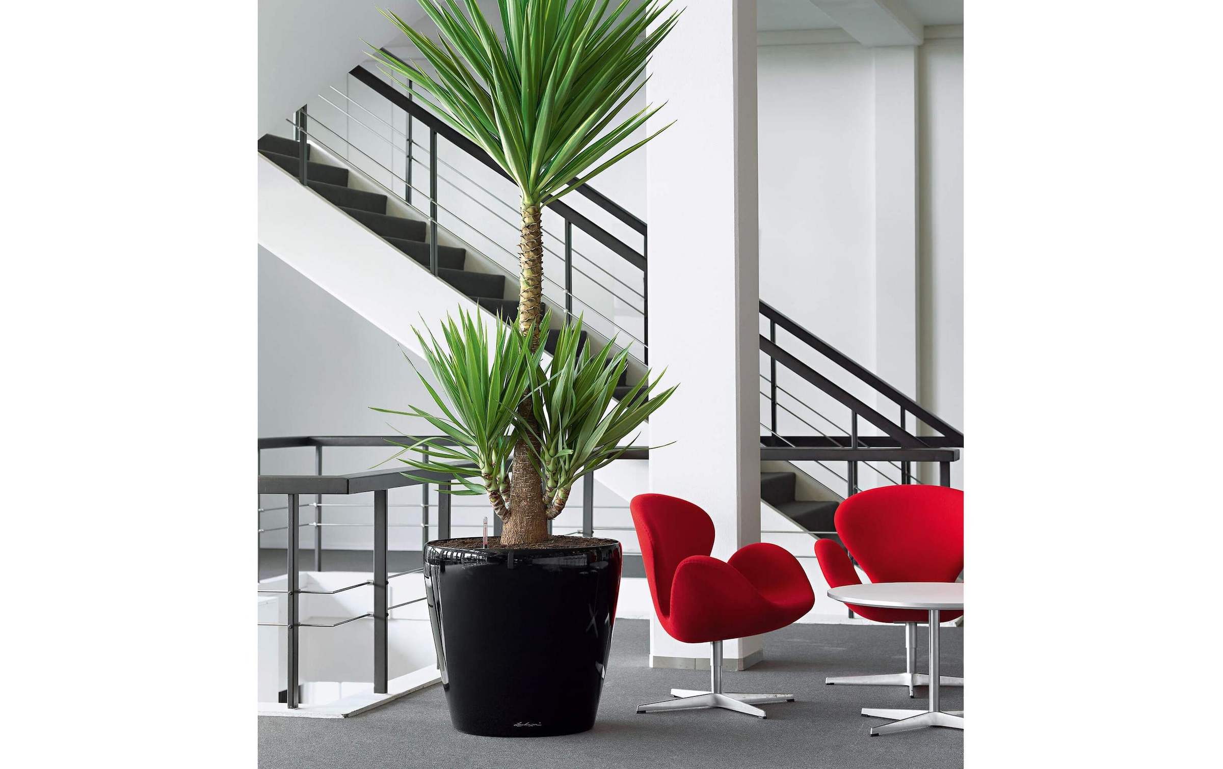   Blumentopf »Lechuza CLASSICO Premium 60«