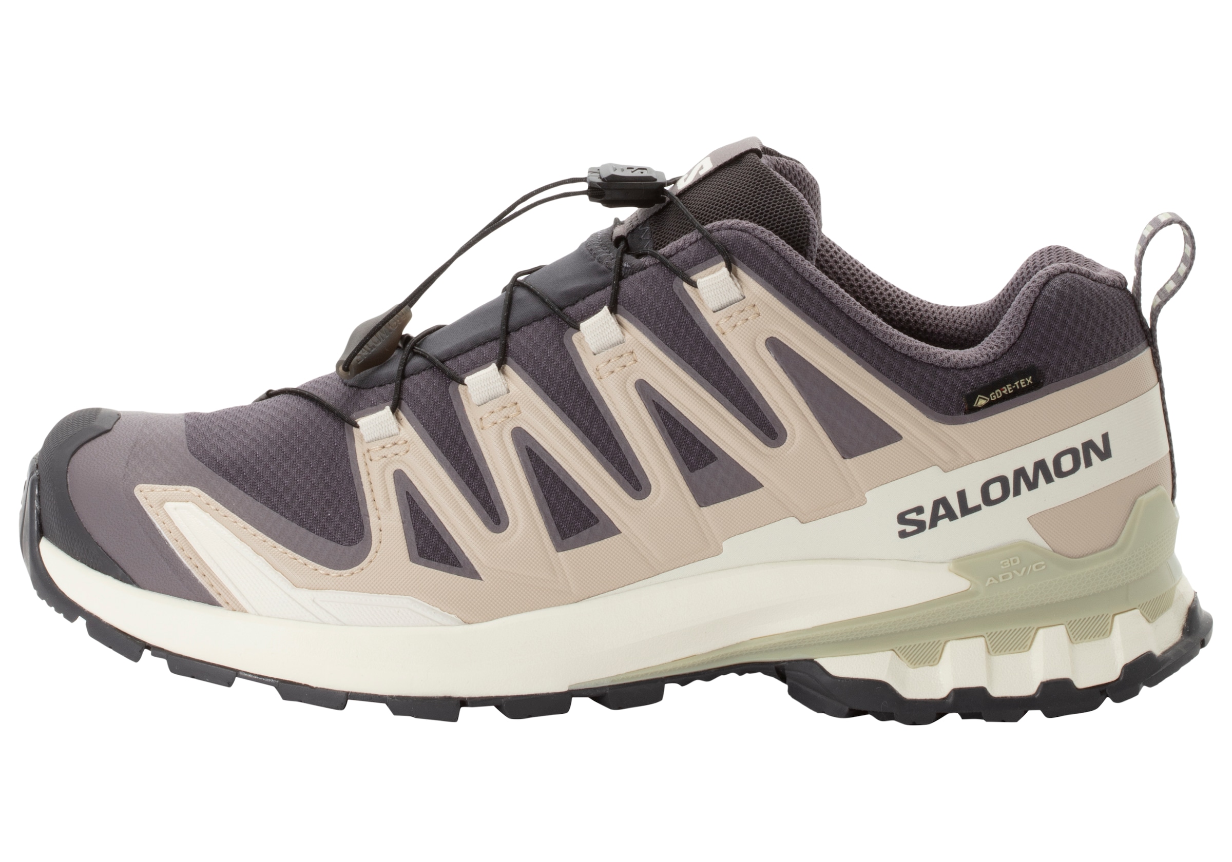 Salomon Trailrunningschuh »XA PRO 3D V9 GORE-TEX W«, wasserdicht