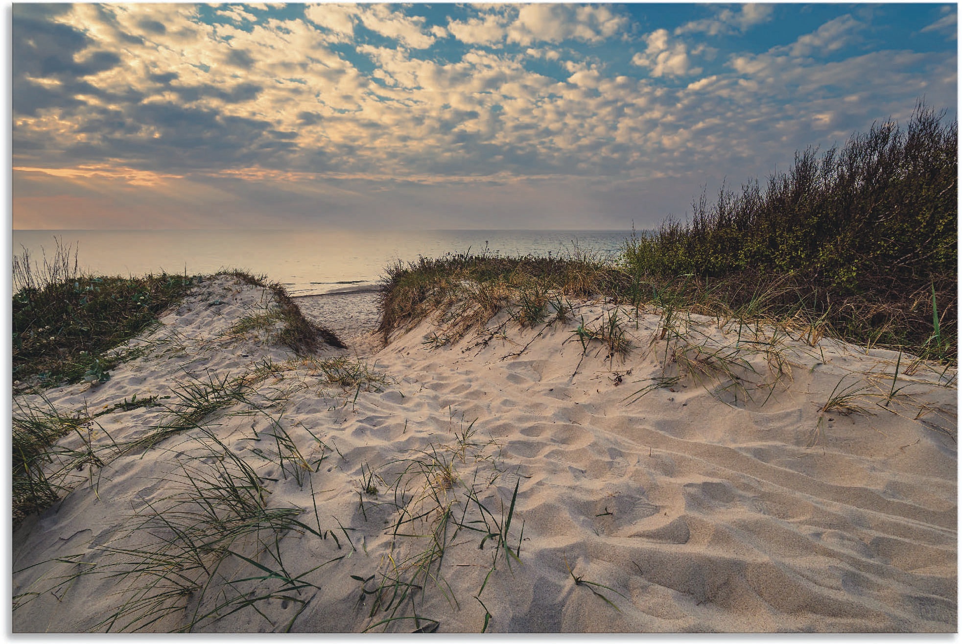 Image of Artland Wandbild »Strand an Küste der Ostsee Graal Müritz«, Küstenbilder, (1 St.), in vielen Grössen & Produktarten - Alubild / Outdoorbild für den Aussenbereich, Leinwandbild, Poster, Wandaufkleber / Wandtattoo auch für Badezimmer geeignet bei Ackermann 