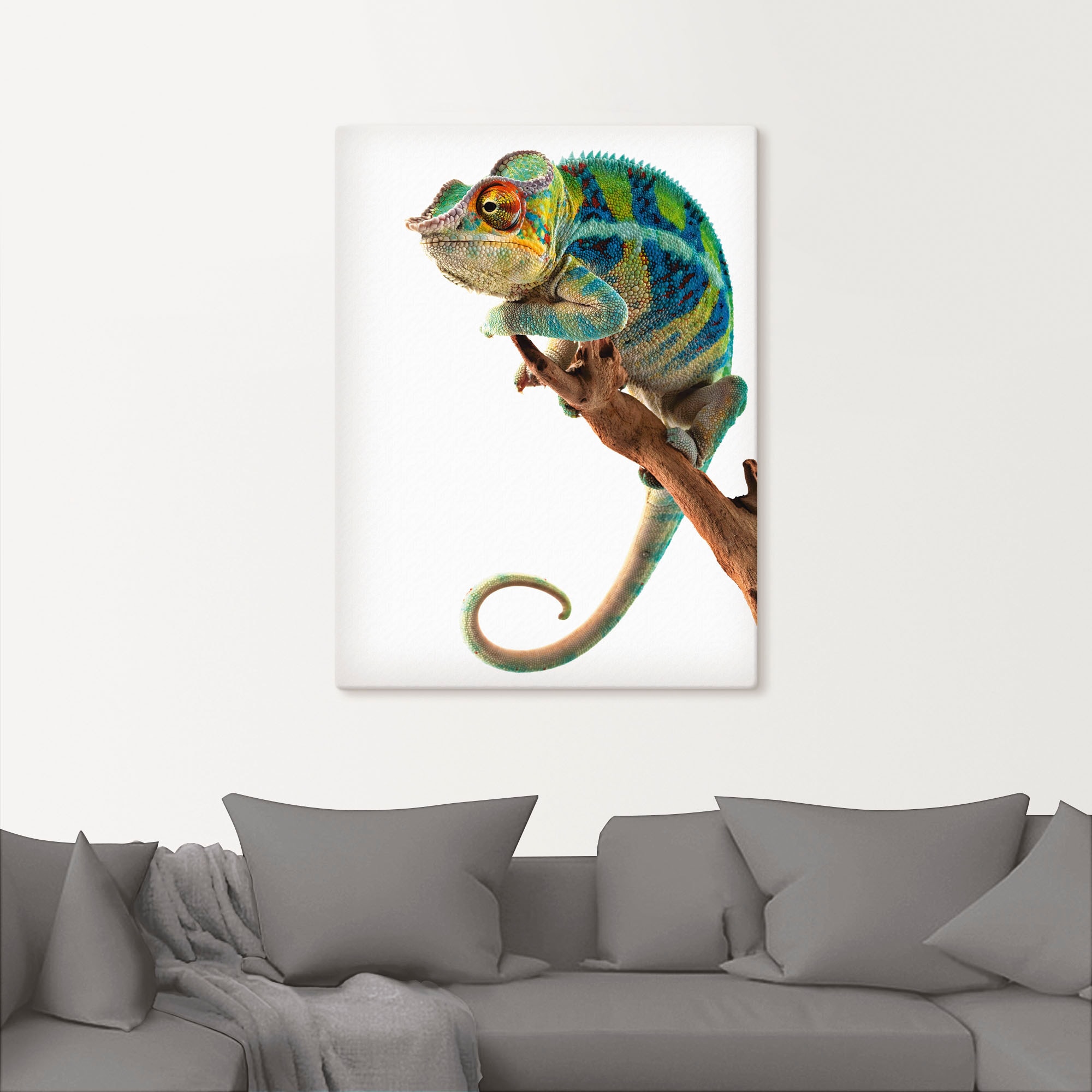 Artland Wandbild »Ambanja Panther Chamäleon«, Reptilien, (1 St.), als Leinwandbild, Poster in verschied. Grössen