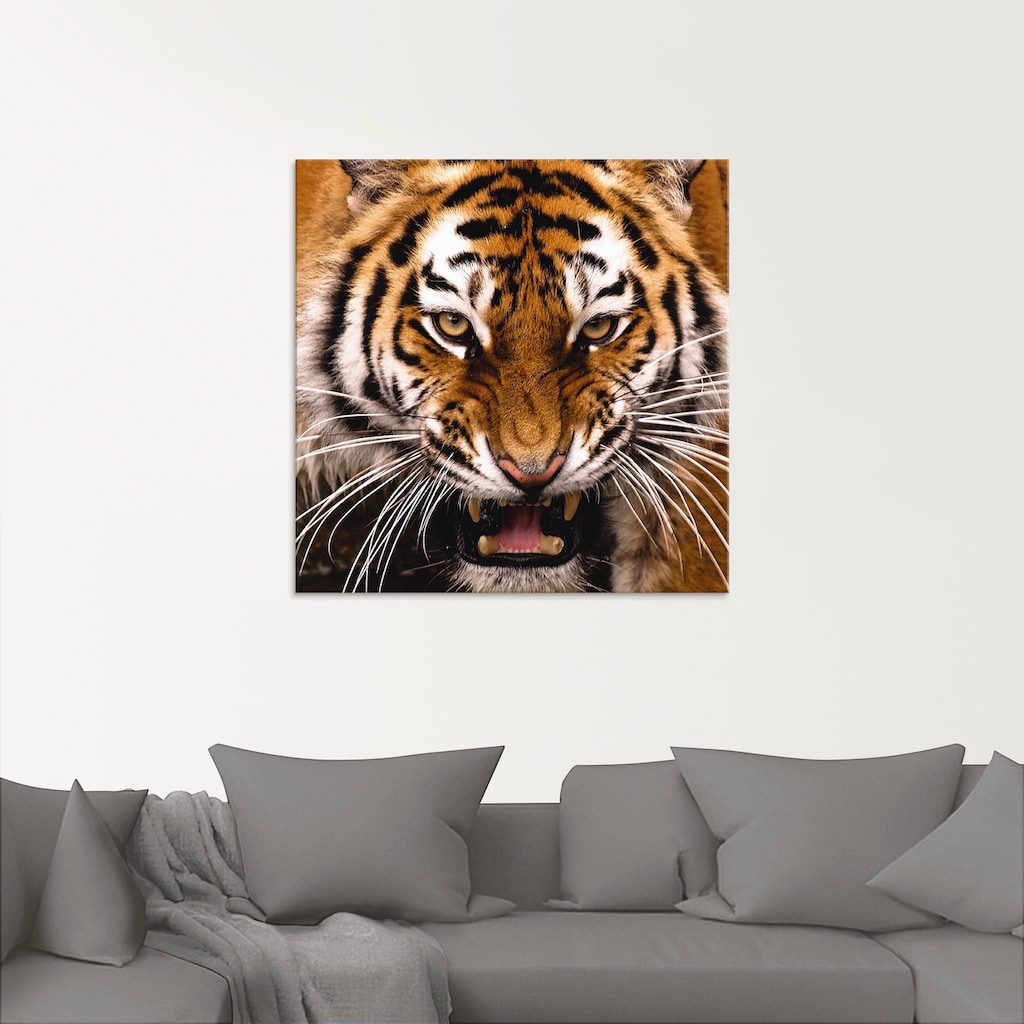 Artland Glasbild »Tiger Kopf«, Wildtiere, (1 St.)