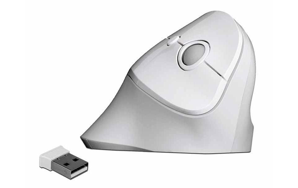 ergonomische Maus »Delock Ergonomische Maus 12596 USB«