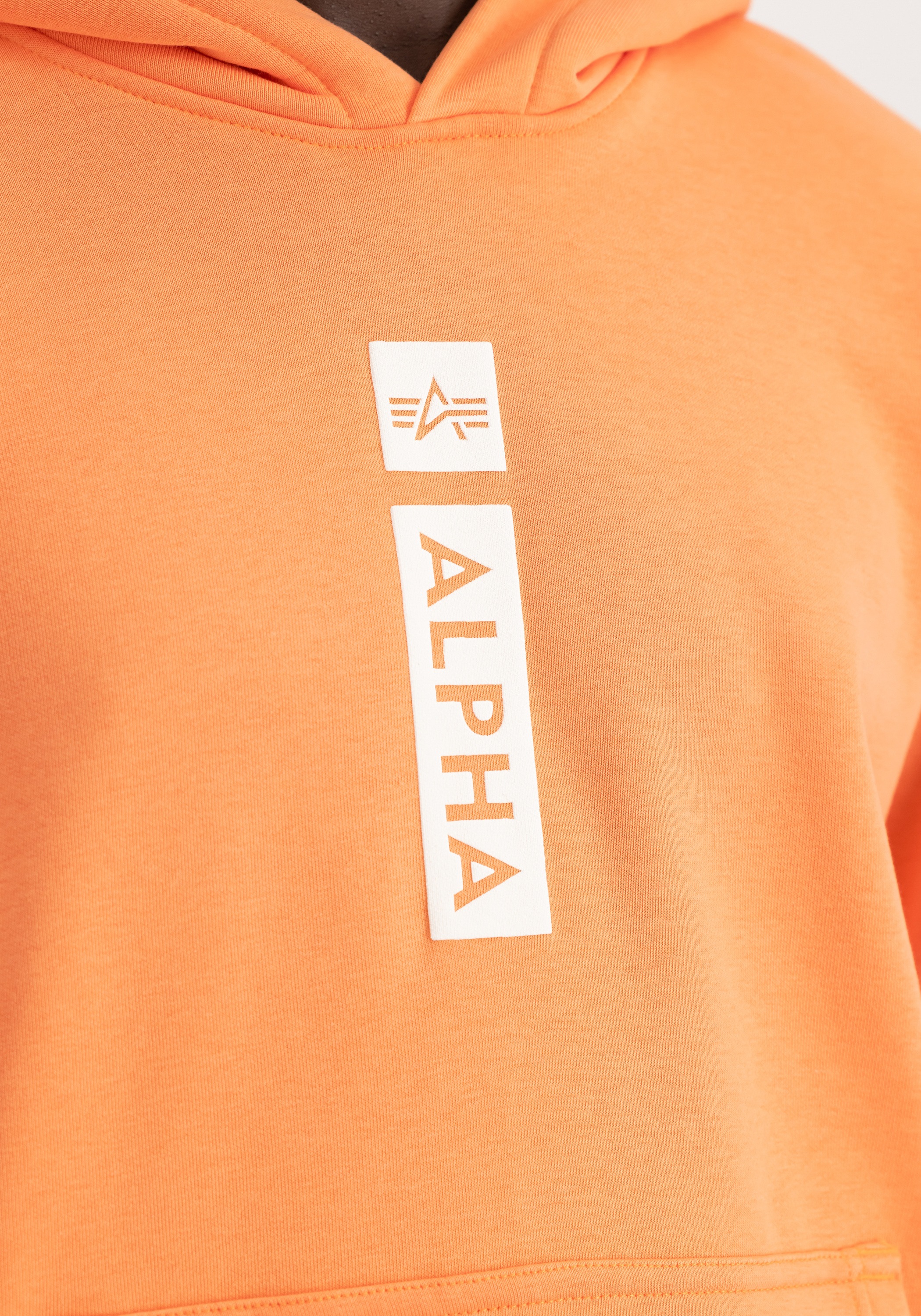 Alpha Industries Hoodie »Alpha Industries Men - Hoodies Alpha Puff Print Hoodie«
