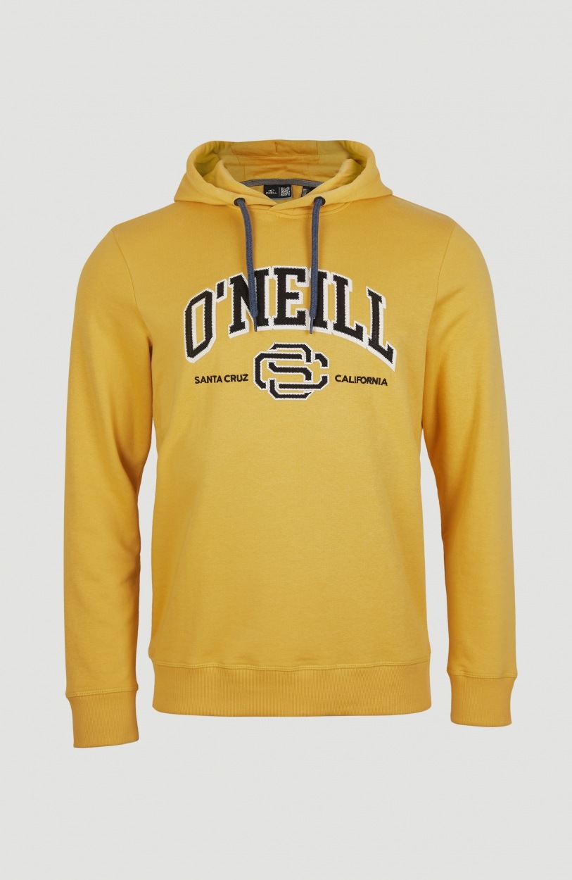 Image of O'Neill Sweatshirt »Surf State Hoody« bei Ackermann Versand Schweiz