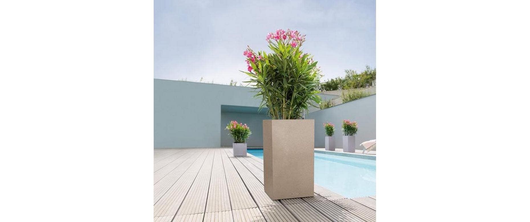   Bac à plantes »Lechuza CANTO Stone 30 high«