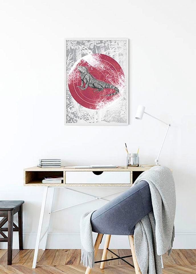 Komar Image »Iguana Circle« 1 cuis tlg. Wandbild zur Dekoration - ohne Rahmen