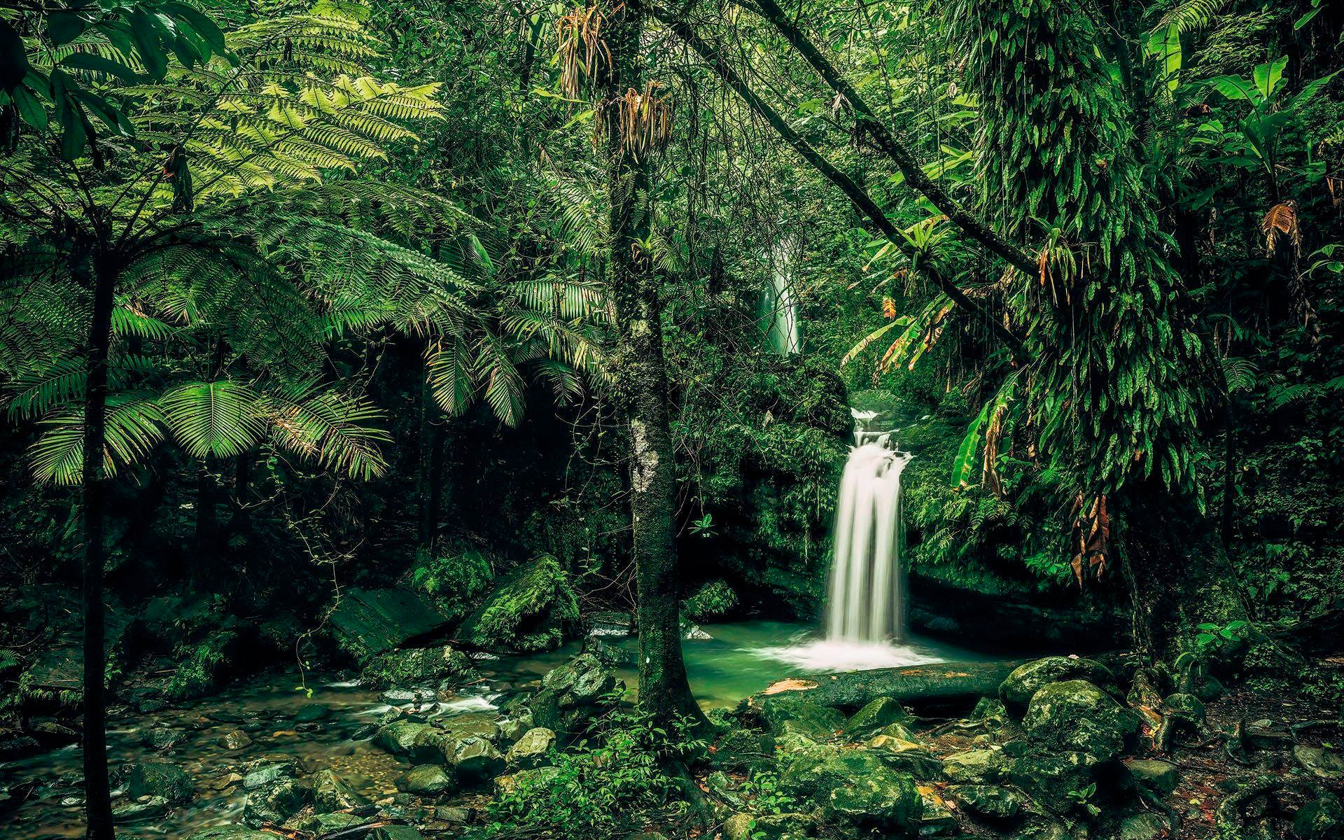 Image of Komar Vliestapete »My Hidden Treasure«, naturalistisch bei Ackermann Versand Schweiz