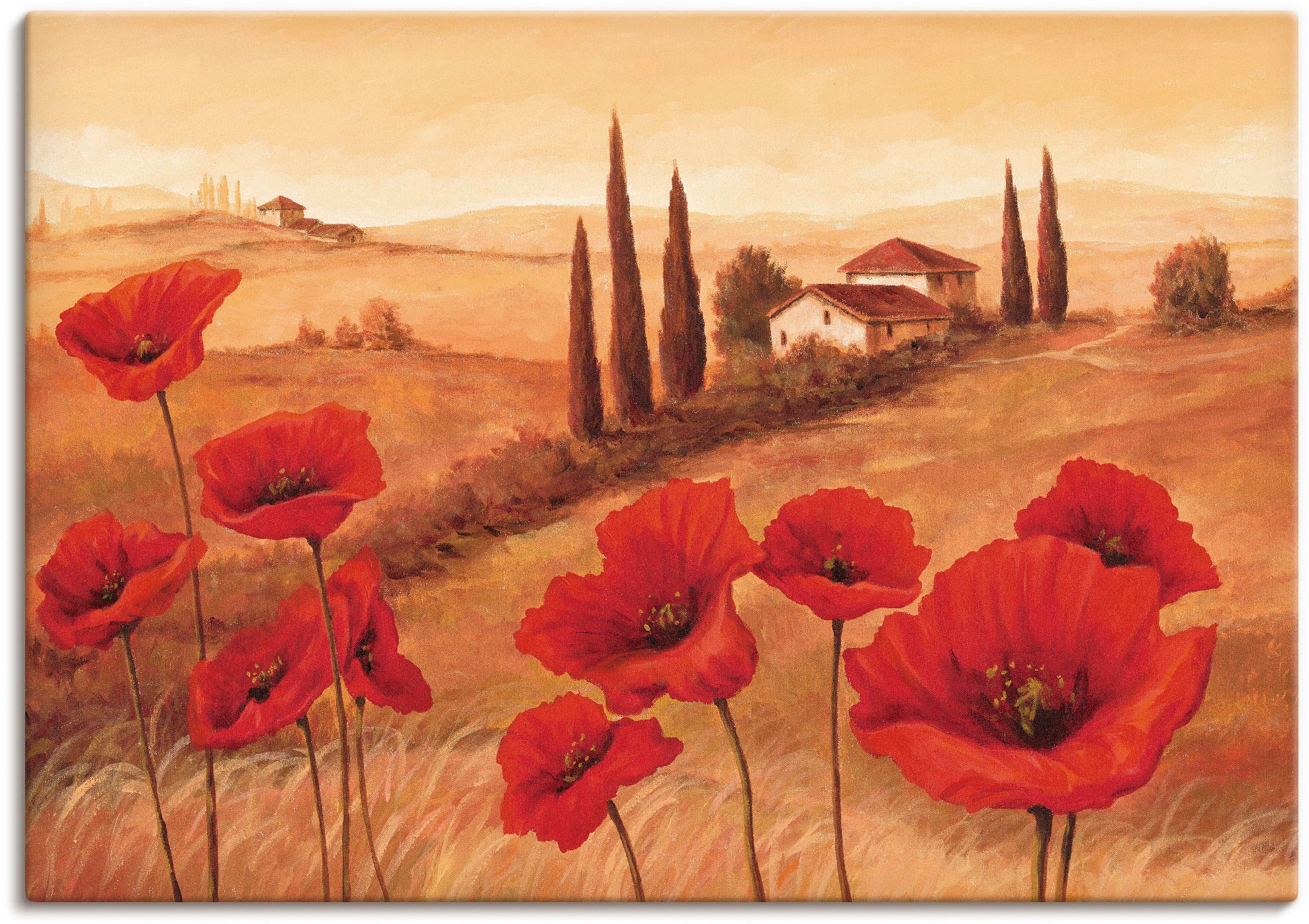 Image of Artland Wandbild "Mohnblumen in der Toskana" Europa 1 Stk. tlg. als Leinwandbild, Poster in verschied. Grössen