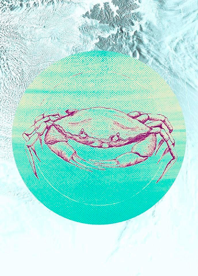 Image of Komar Bild "Crab Sea" Tiere 1 Stk. tlg. Wandbild zur Dekoration - ohne Rahmen