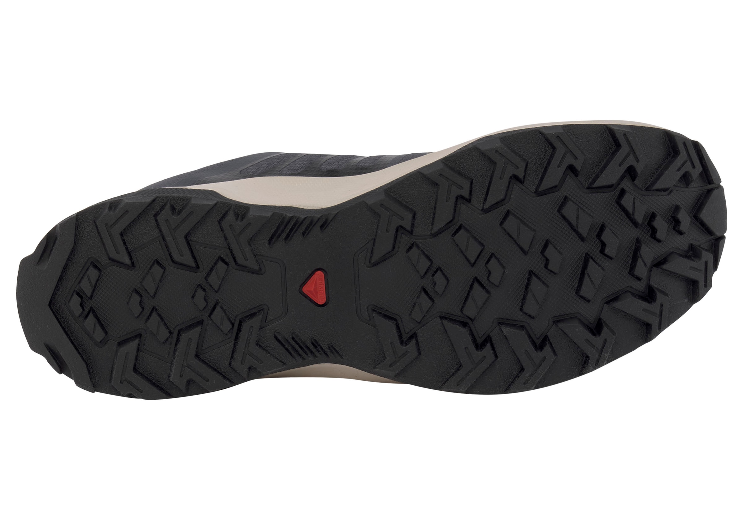 Salomon Wanderschuh »X-RENDER GORE-TEX W«, wasserdicht